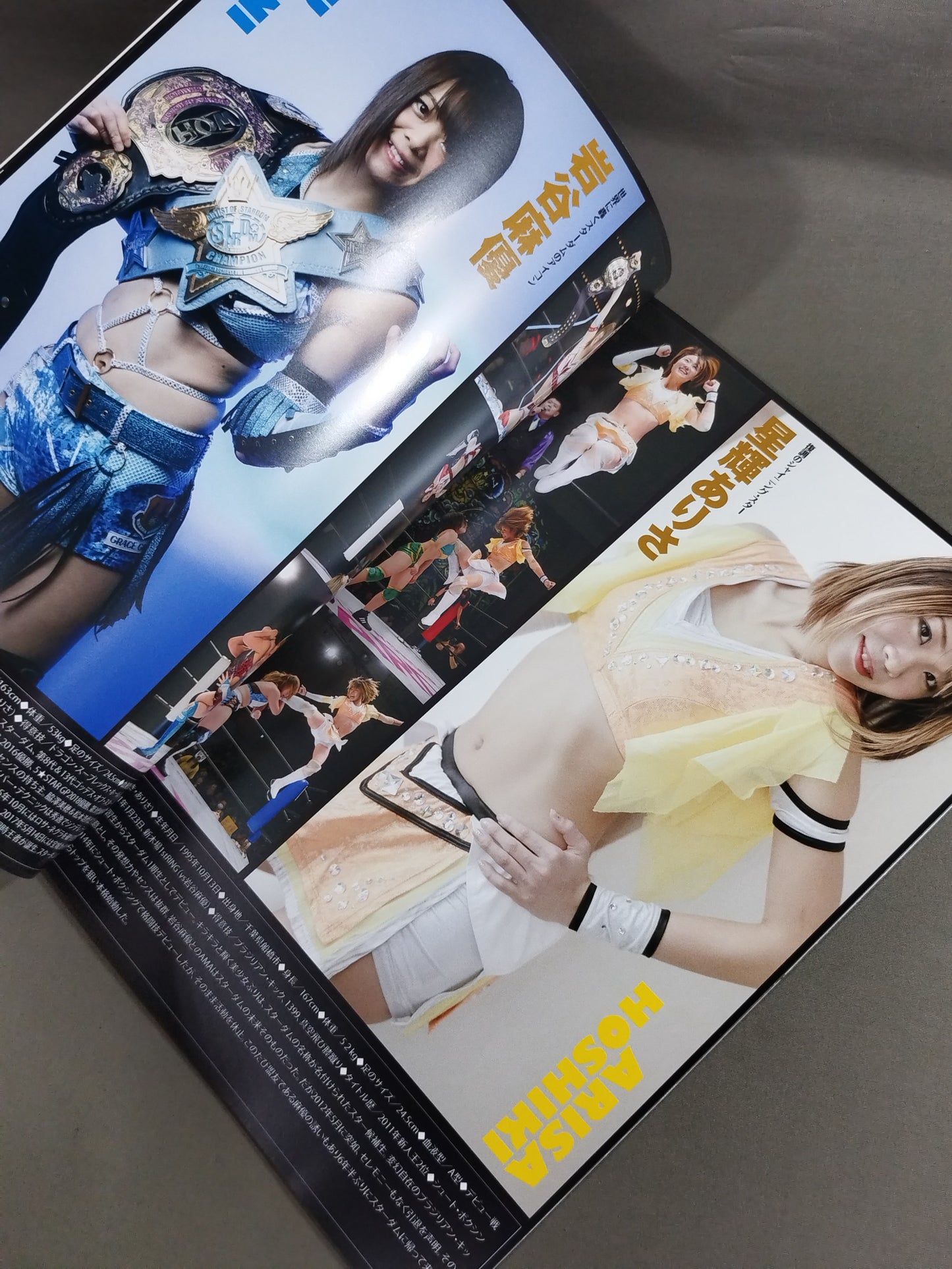 STARDOM OFFICIAL GUIDE BOOK Vol.118