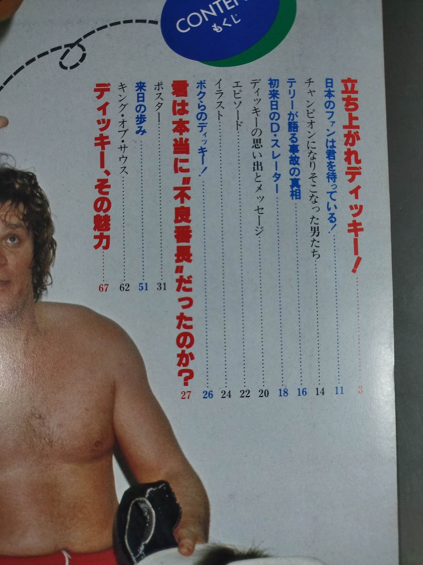 Pro Wrestling Album 11 Dick Rubbing Tailor