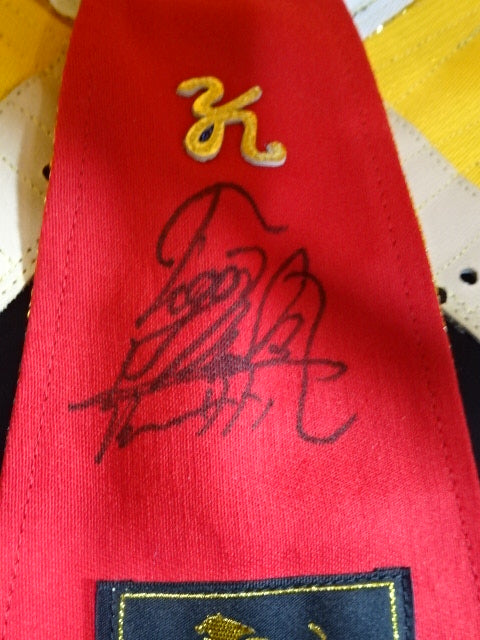 The first Tiger Mask