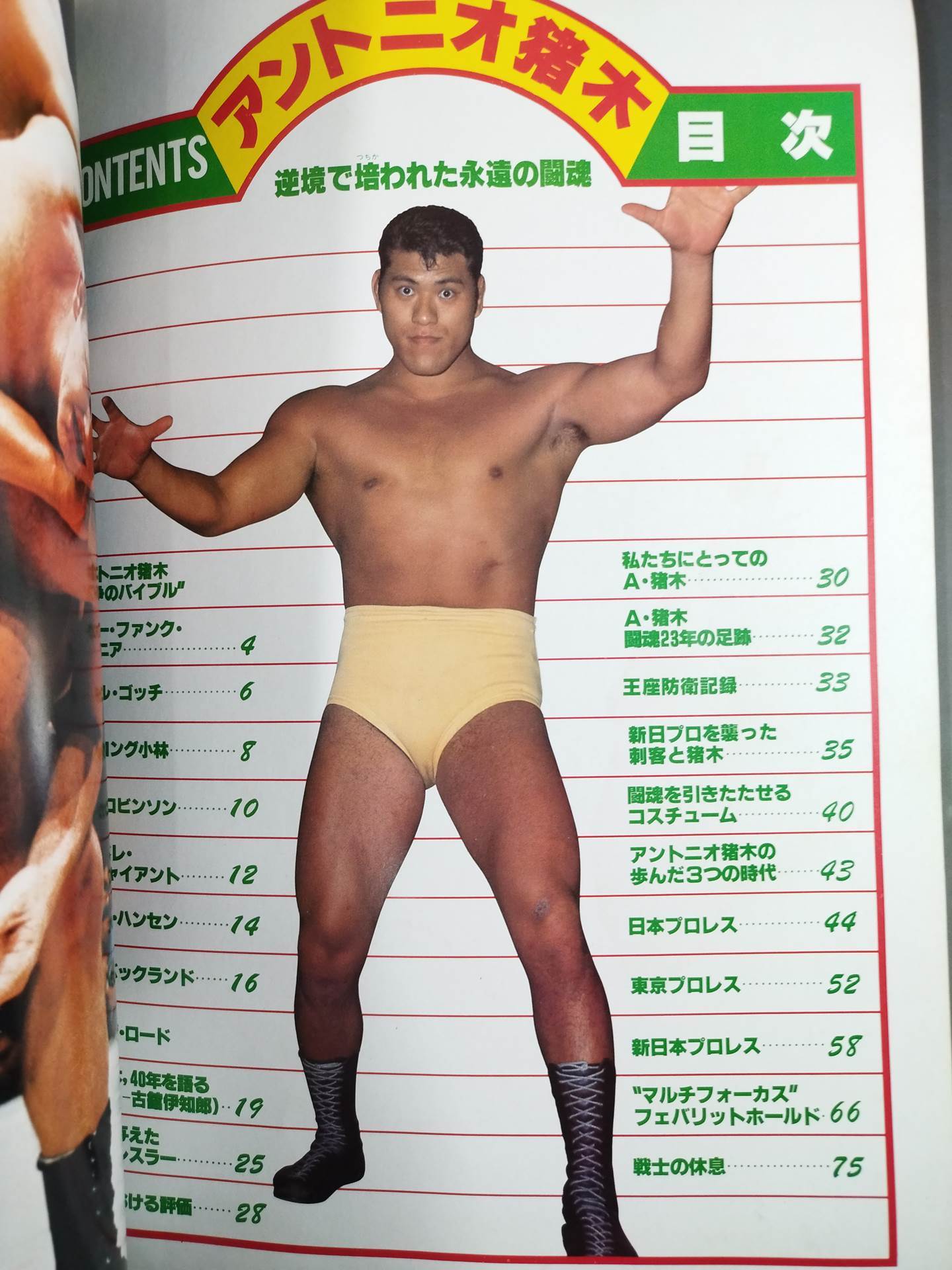 Weekly Pro Wrestling Supplement 403 " Antonio Inoki "