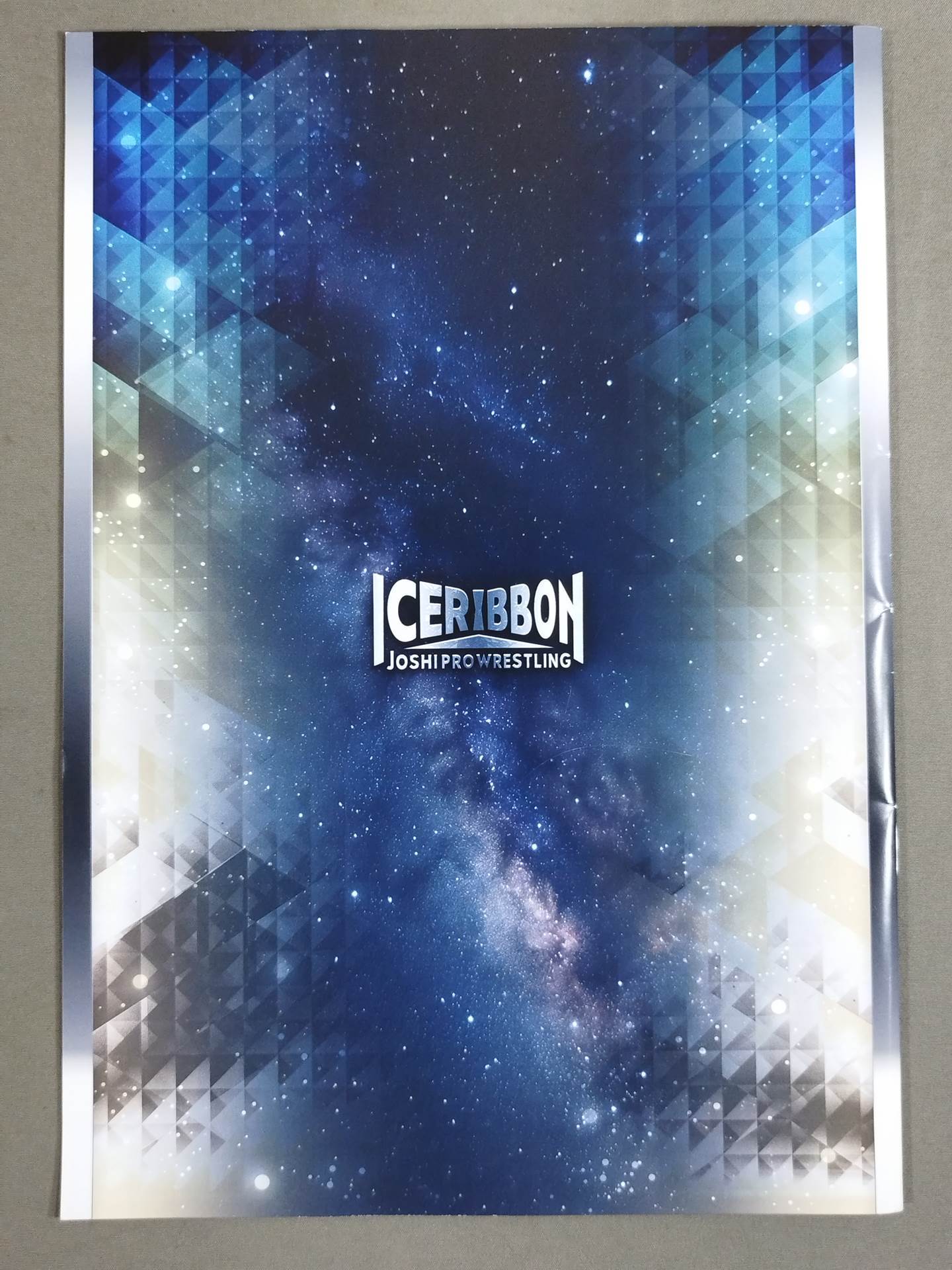 Ice Ribbon / Official Brochure (8/24/2025)
