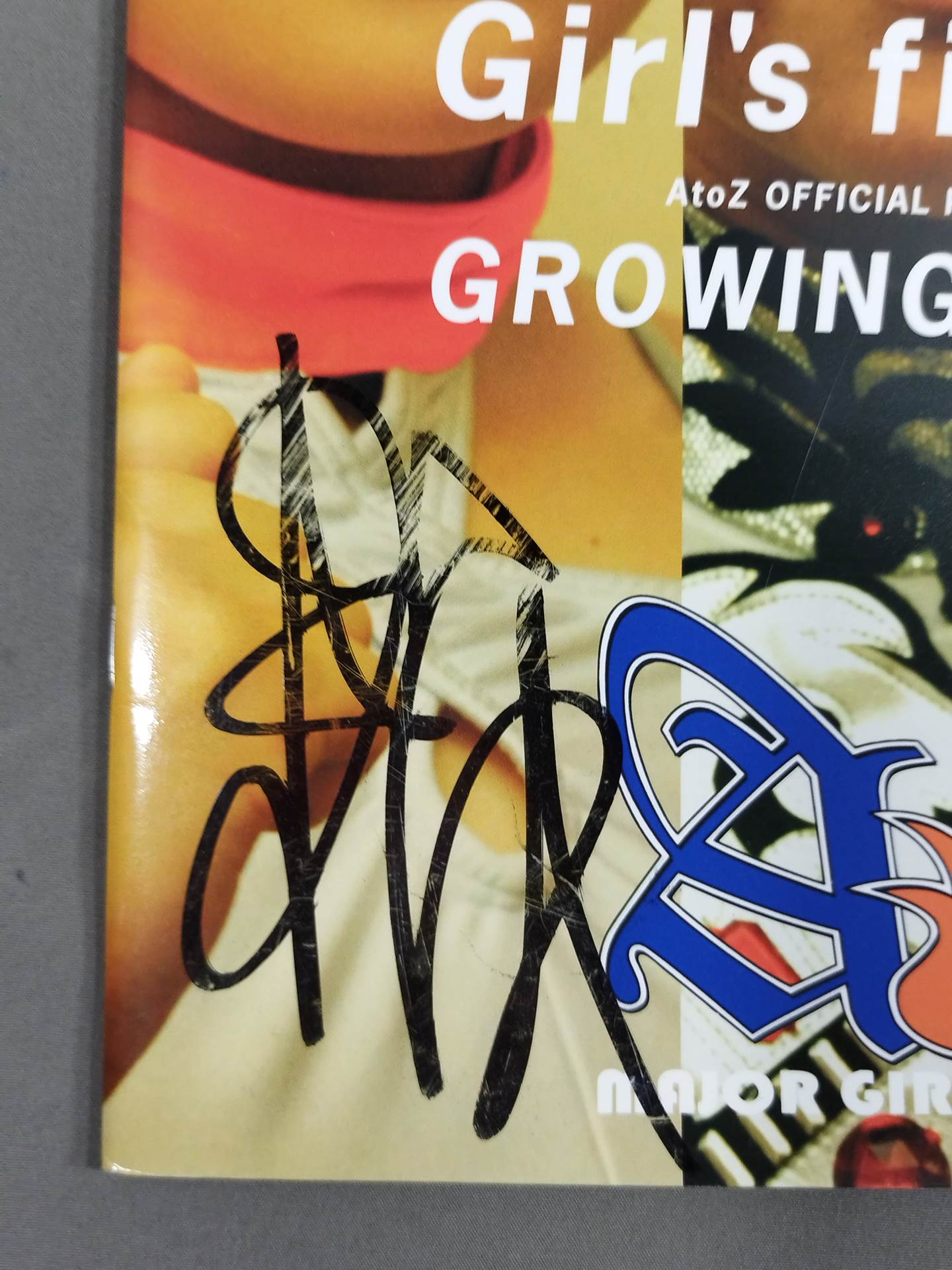 [2 fighters hand signed autograph 】AtoZ / Official Pamphlet No.4