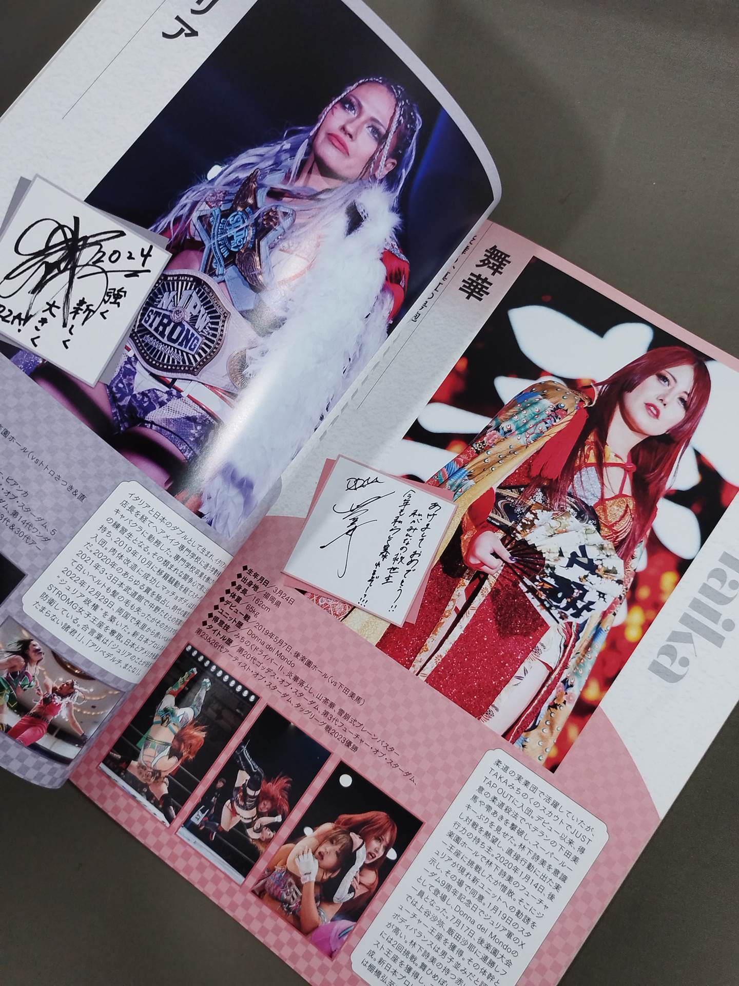STARDOM OFFICIAL GUIDE BOOK Vol.150