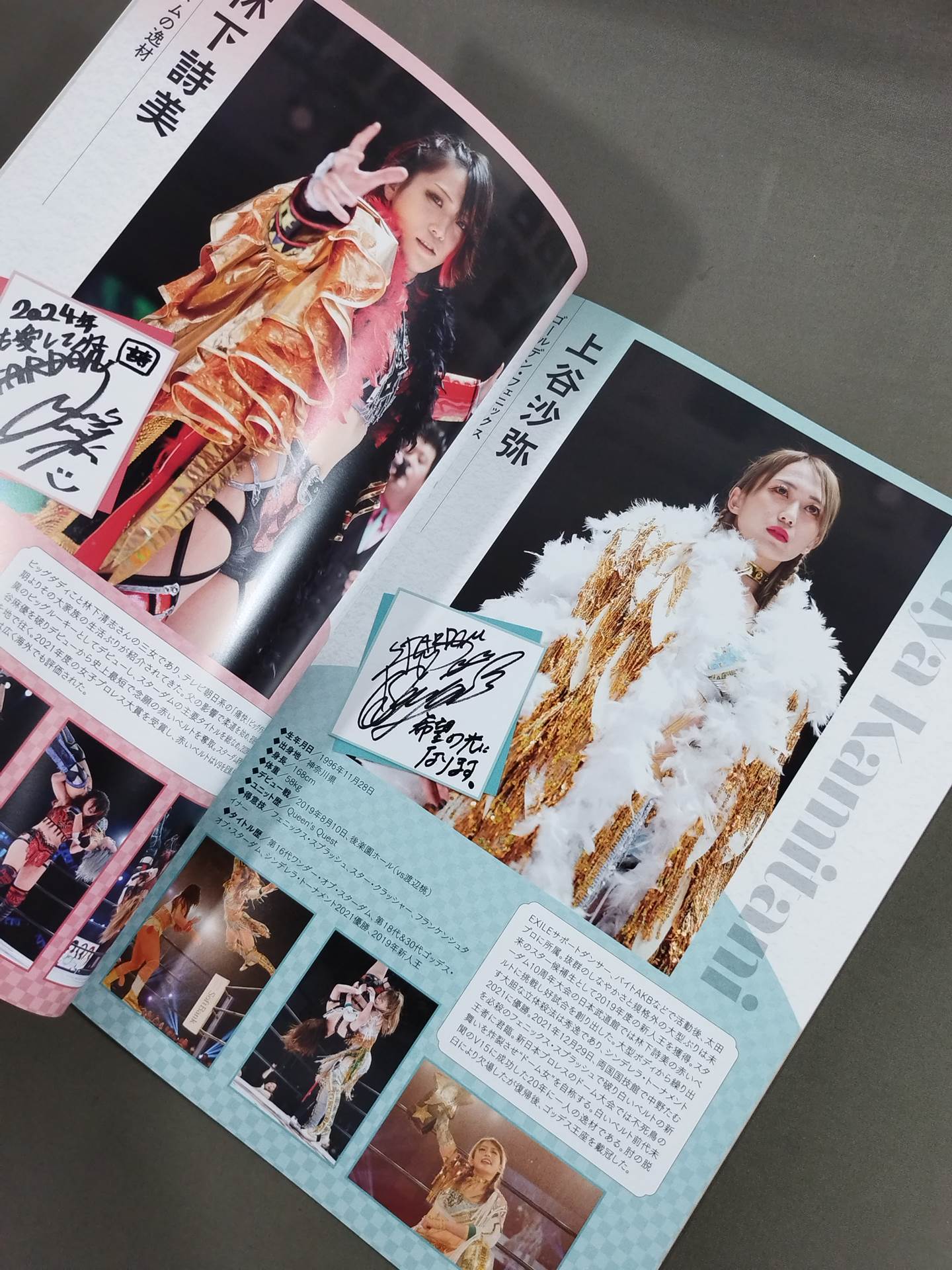 STARDOM OFFICIAL GUIDE BOOK Vol.150