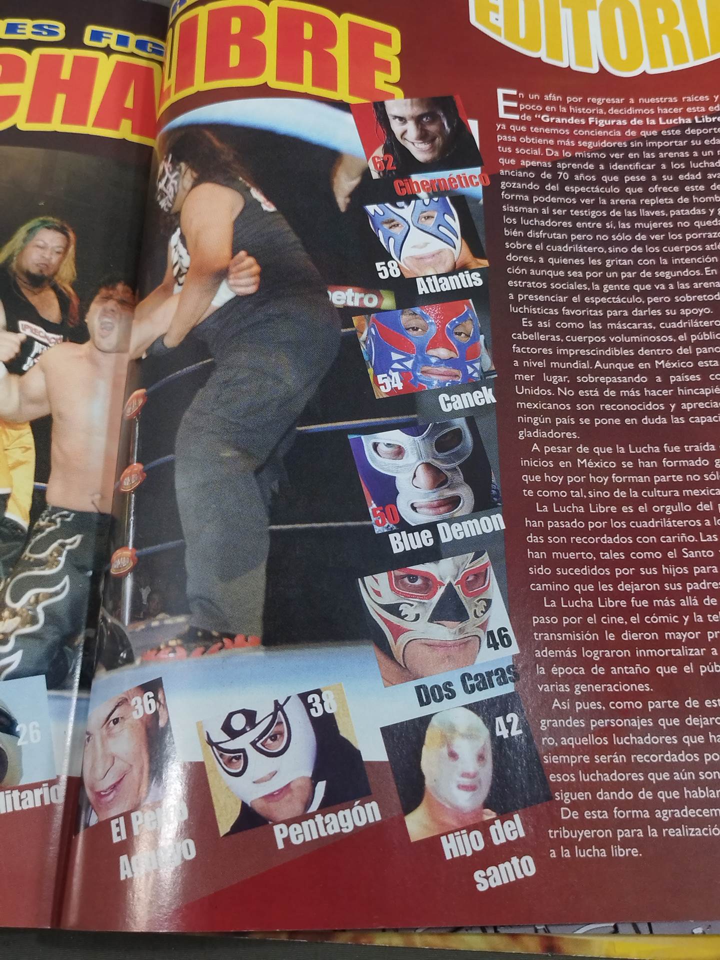 GRANDES FIGURAS DE LA LUCHA LIBRE NUMERO 37