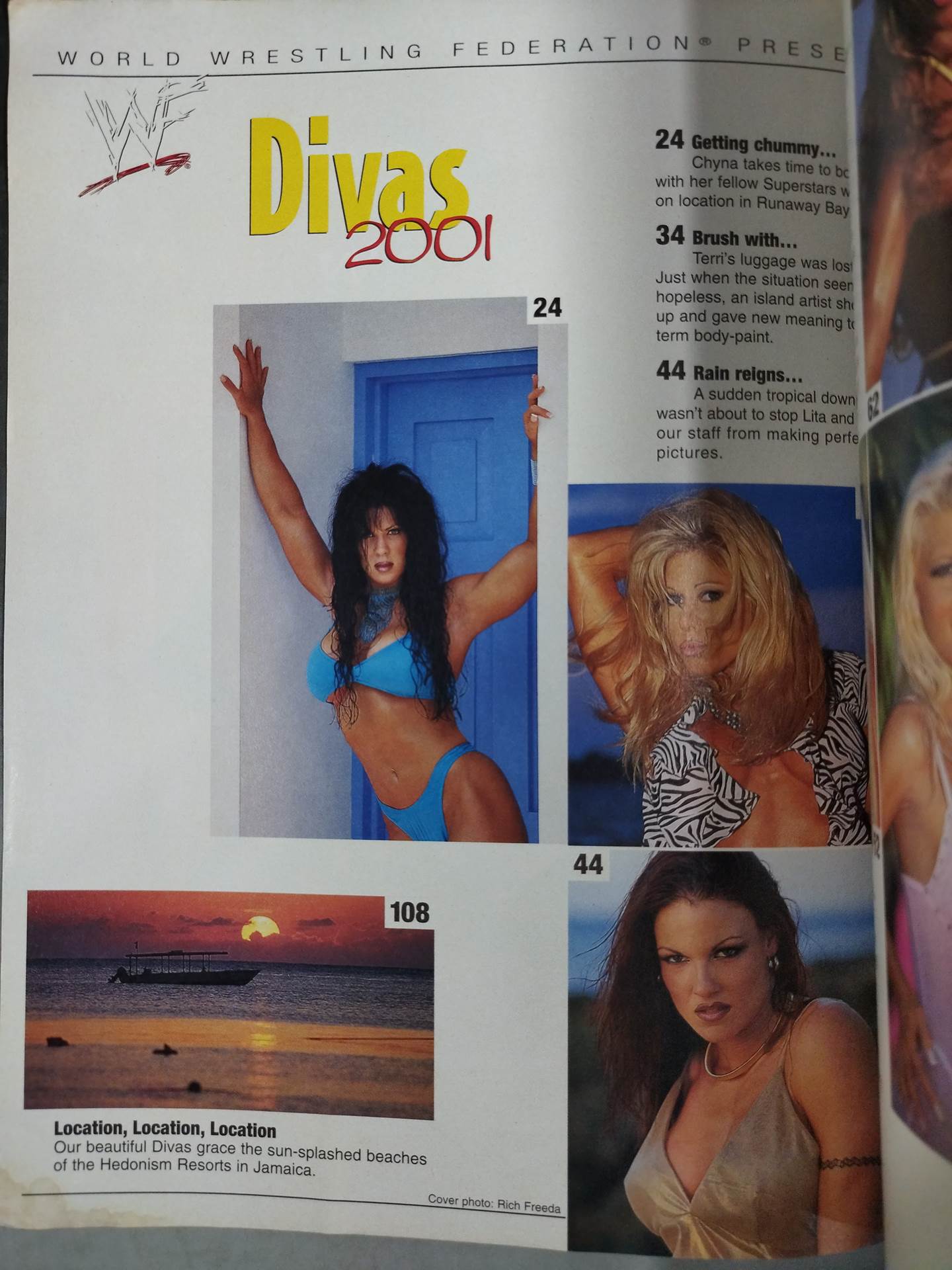 WWF Divas 2001