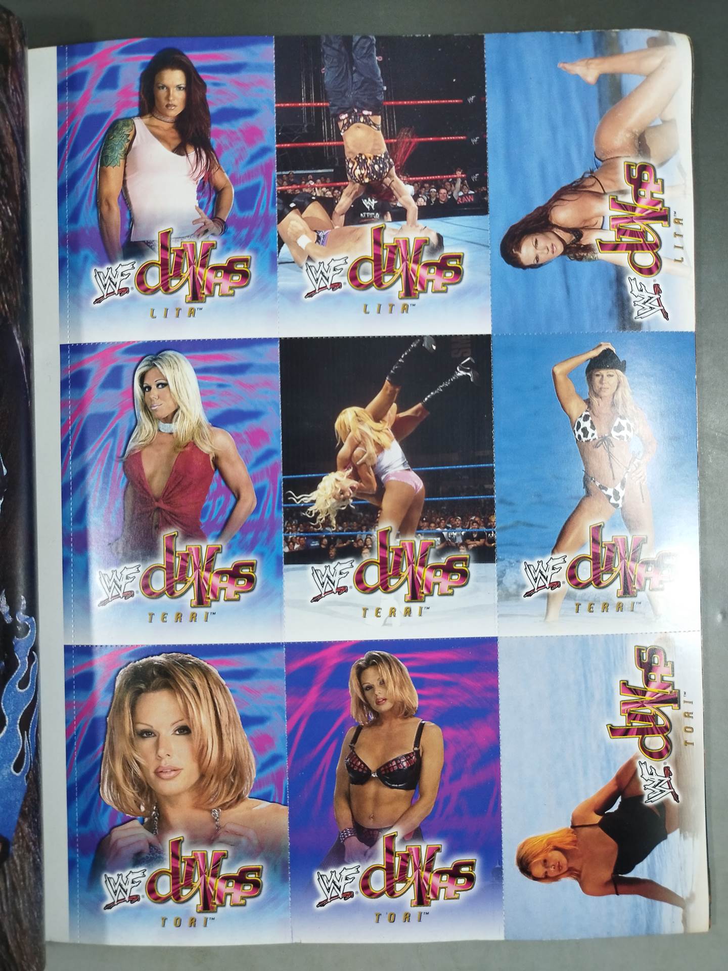 WWF Divas 2001