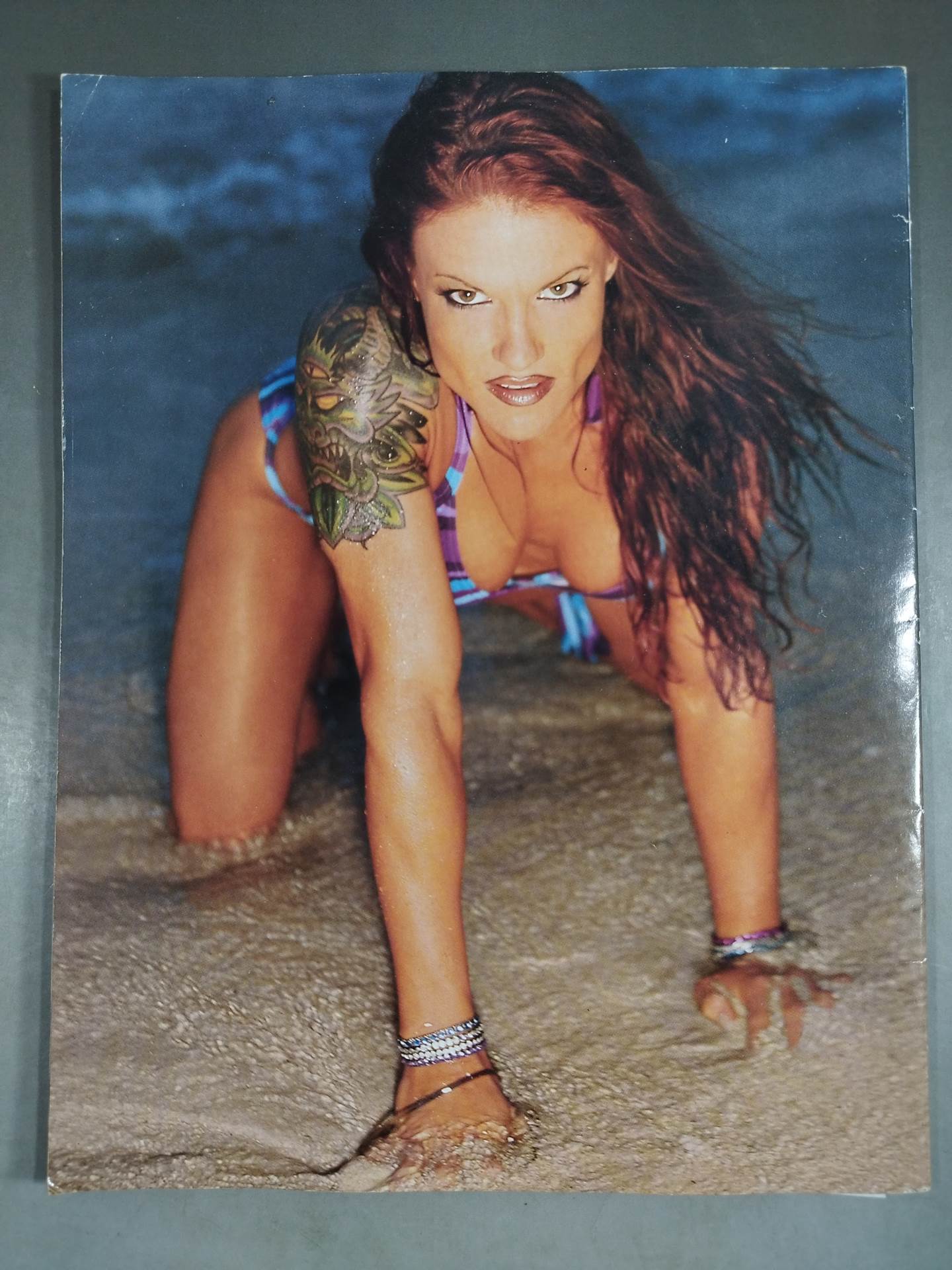 WWF Divas 2002