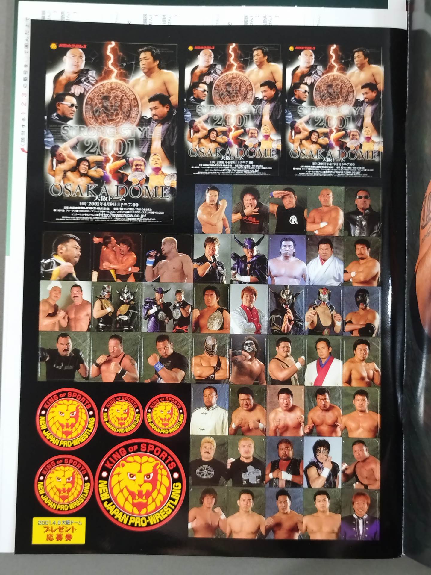 STRONG STYLE 2001 4.9 IN OSKA DOME