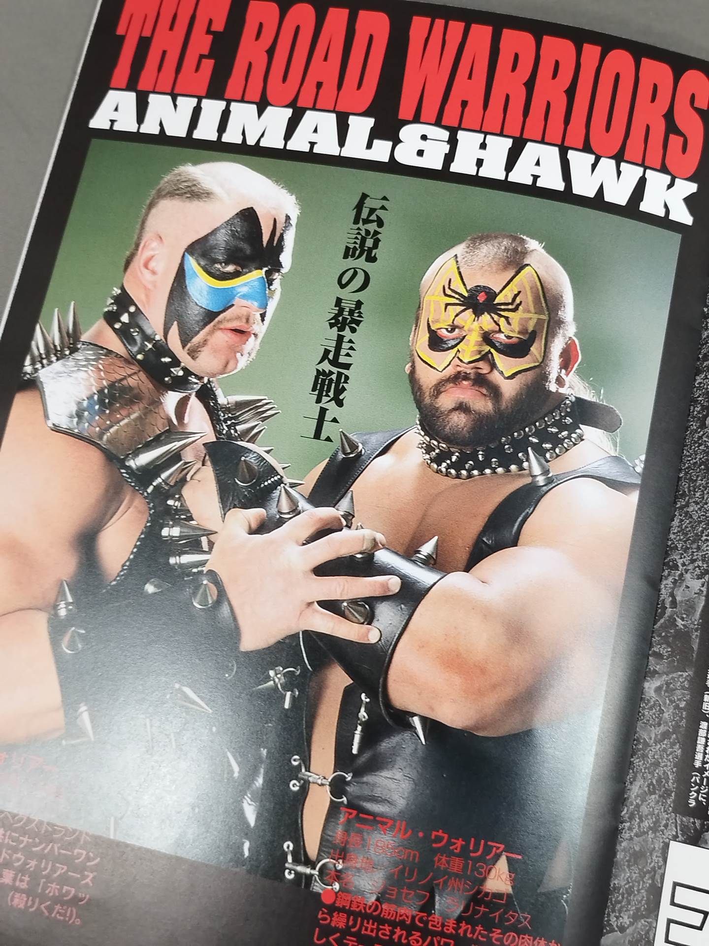 格闘探偵団バトラーツ / THE ROAD WARRIORS JAPAN TOUR 2000