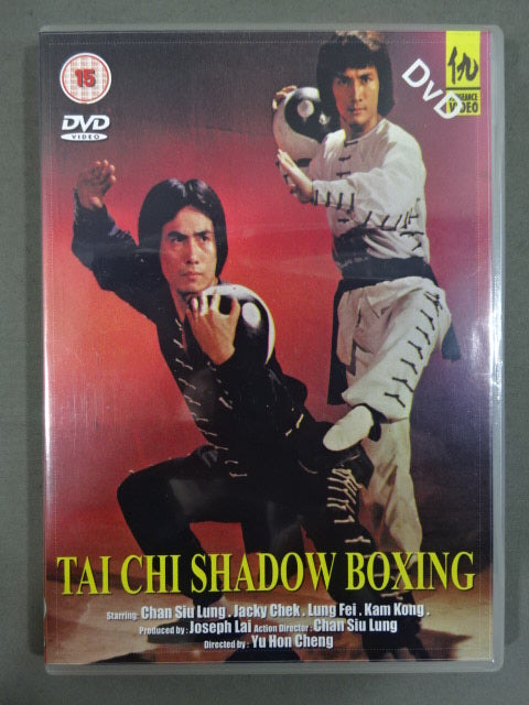 TAI CHI SHADOW BOXING