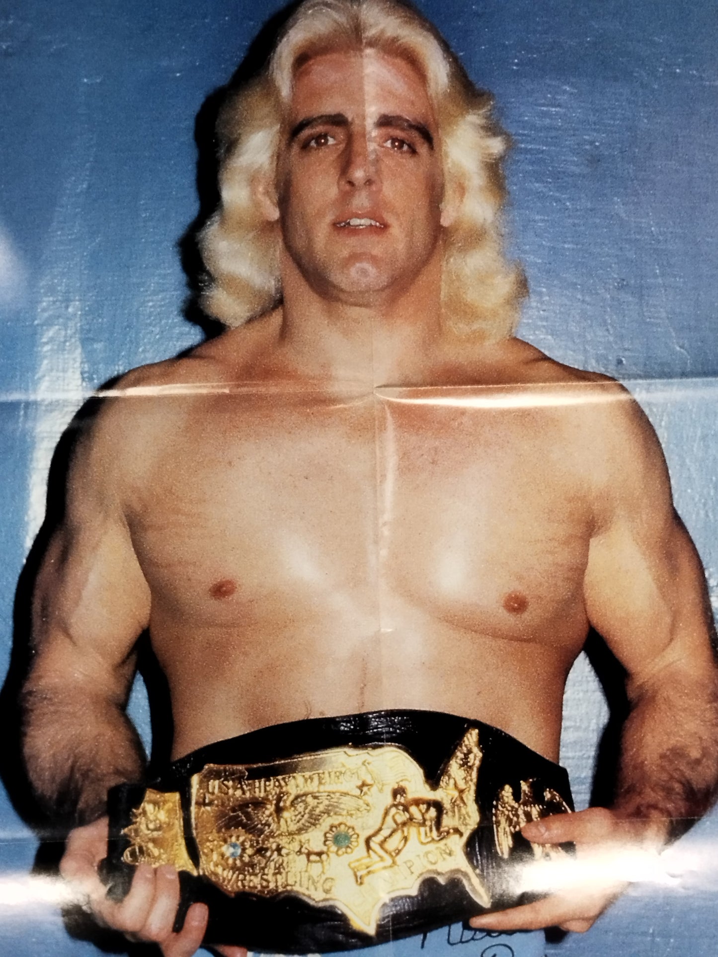 Rick Flair Magazine Appendix Poster