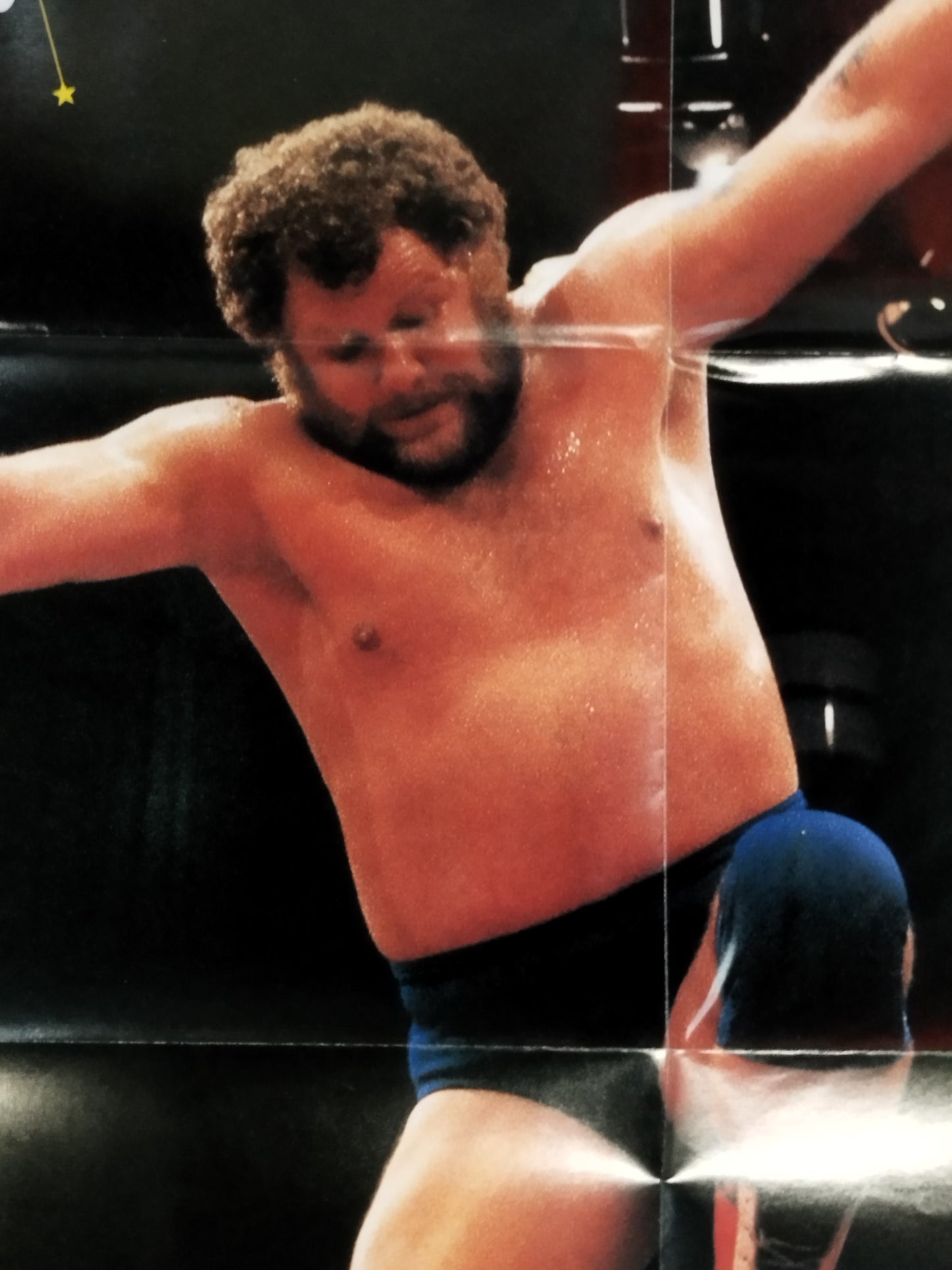 Harley Race Magazine Appendix Poster