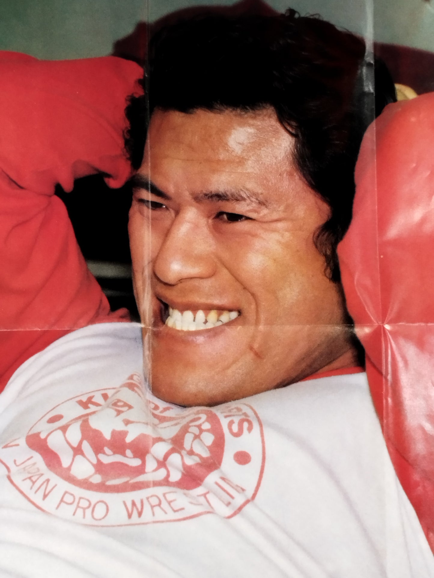 Antonio Inoki Appendix Poster