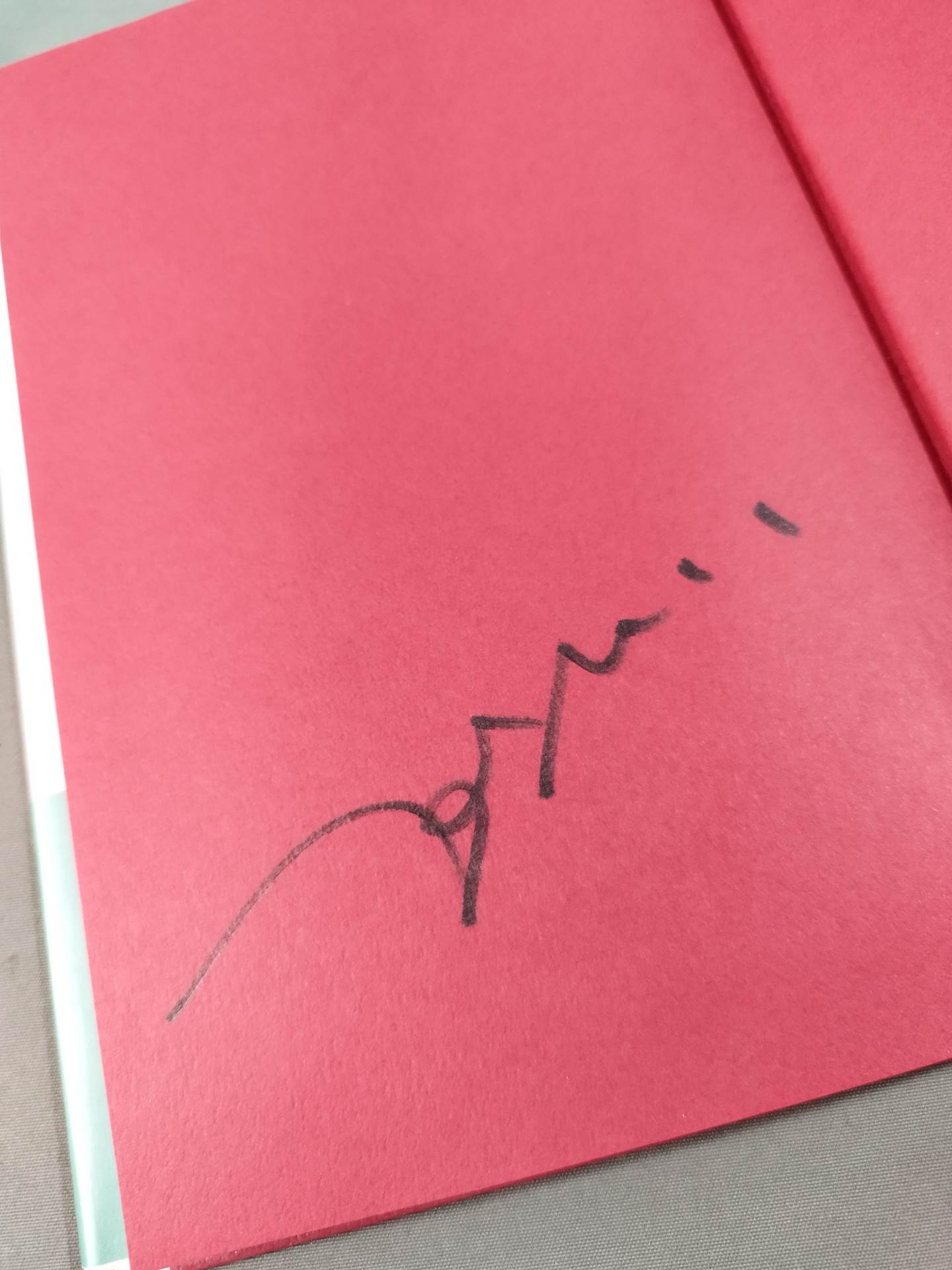 【Tsukakohei hand signed autograph 】Ring Ring Ring Girls Pro Wrestling Pure Love Story