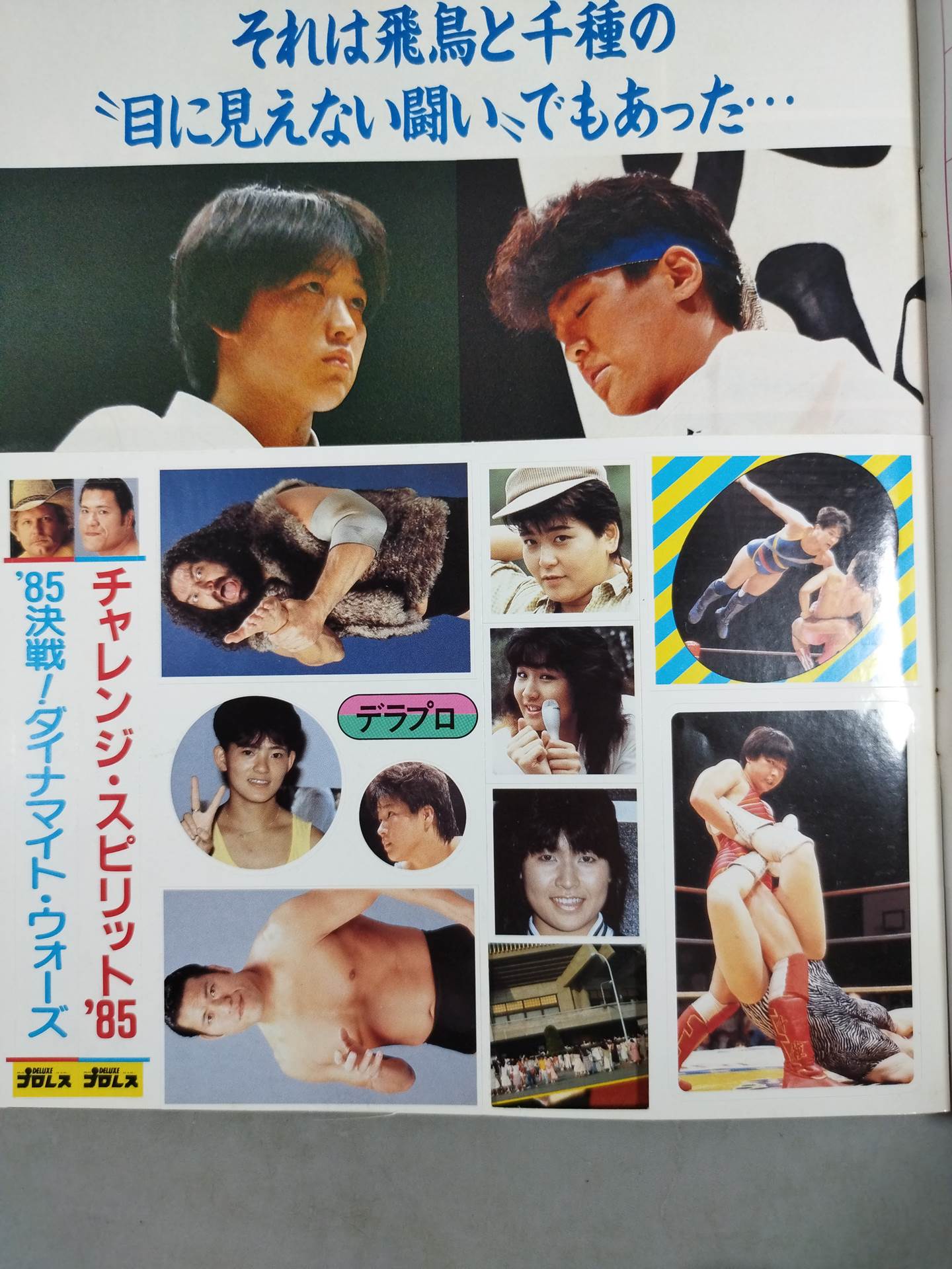 デラックスプロレス 1985年10月号