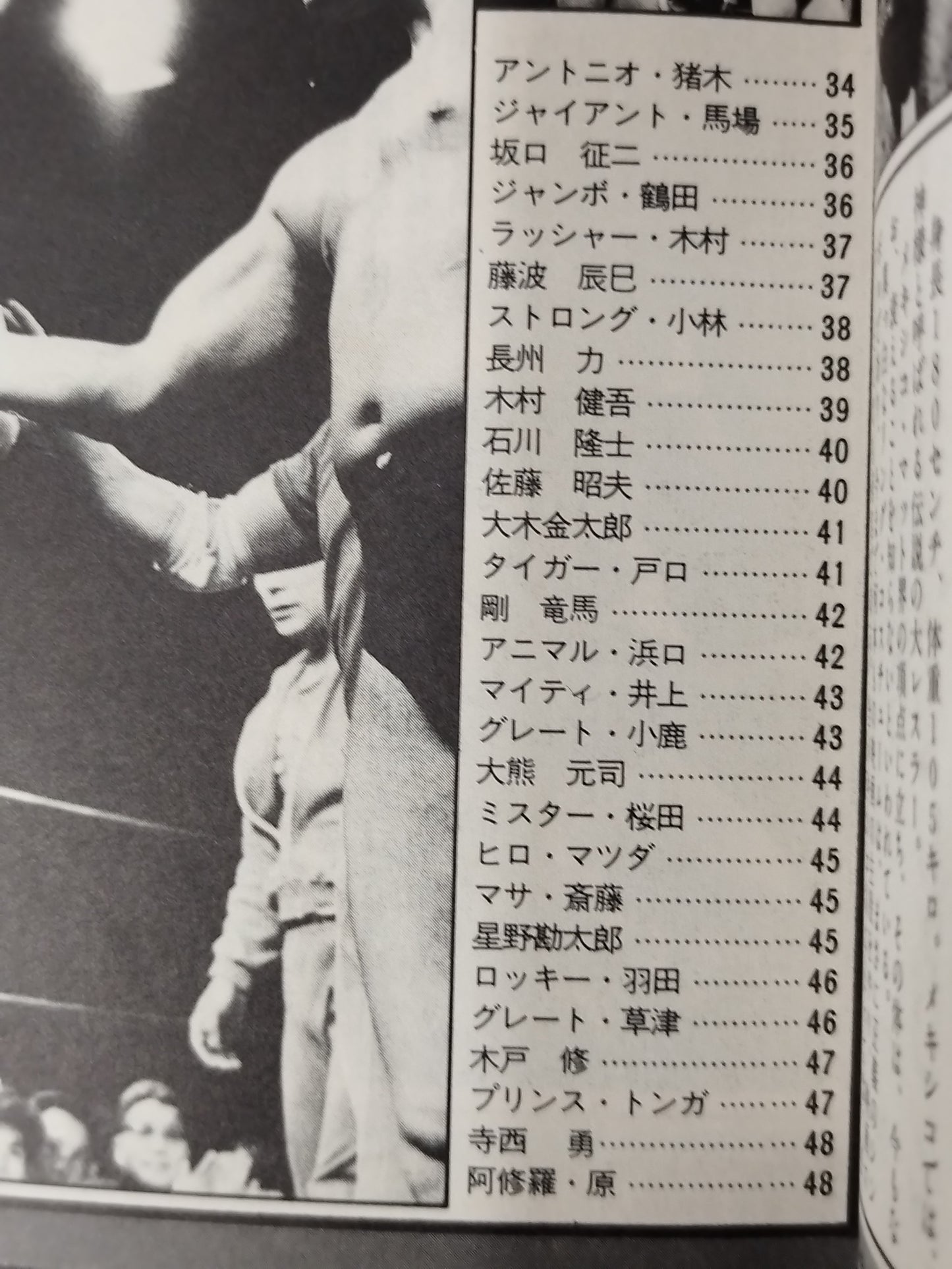 82 Edition Wrestler Directory / BEST FIGHTERS