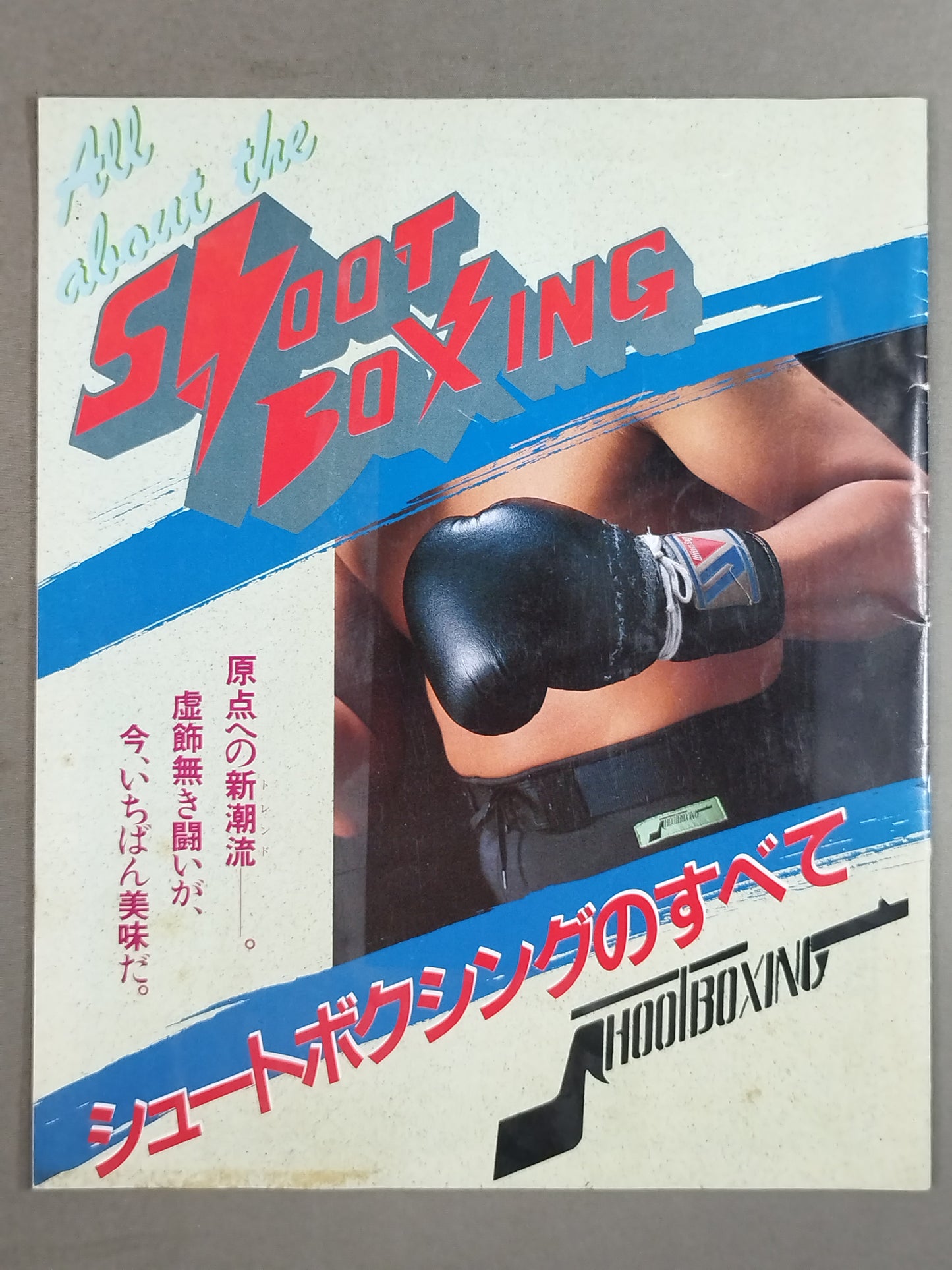 シュートボクシングのすべて