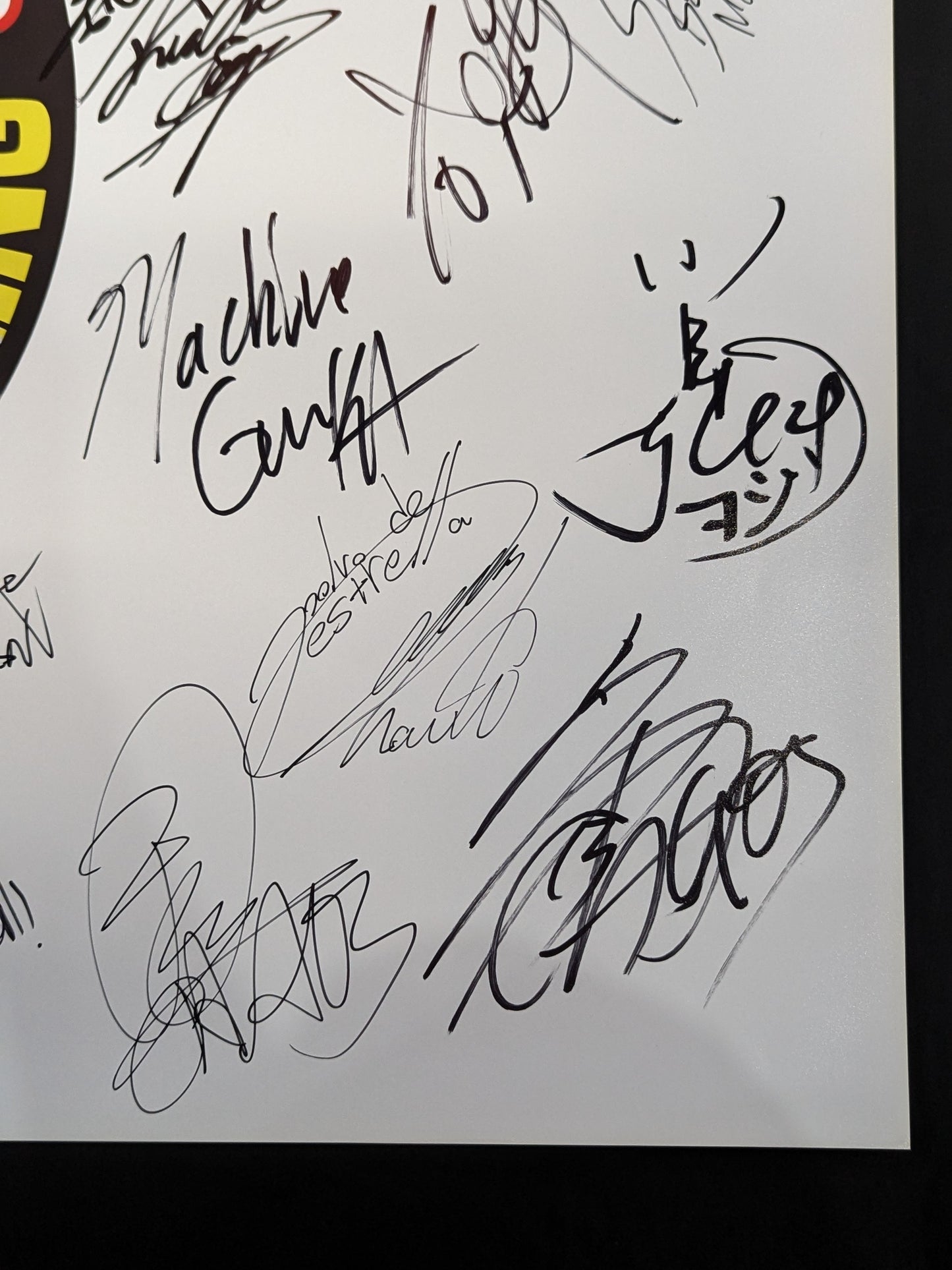 新日本プロレス 28選手直筆サイン寄せ書き(ライオンマーク特大厚紙)
