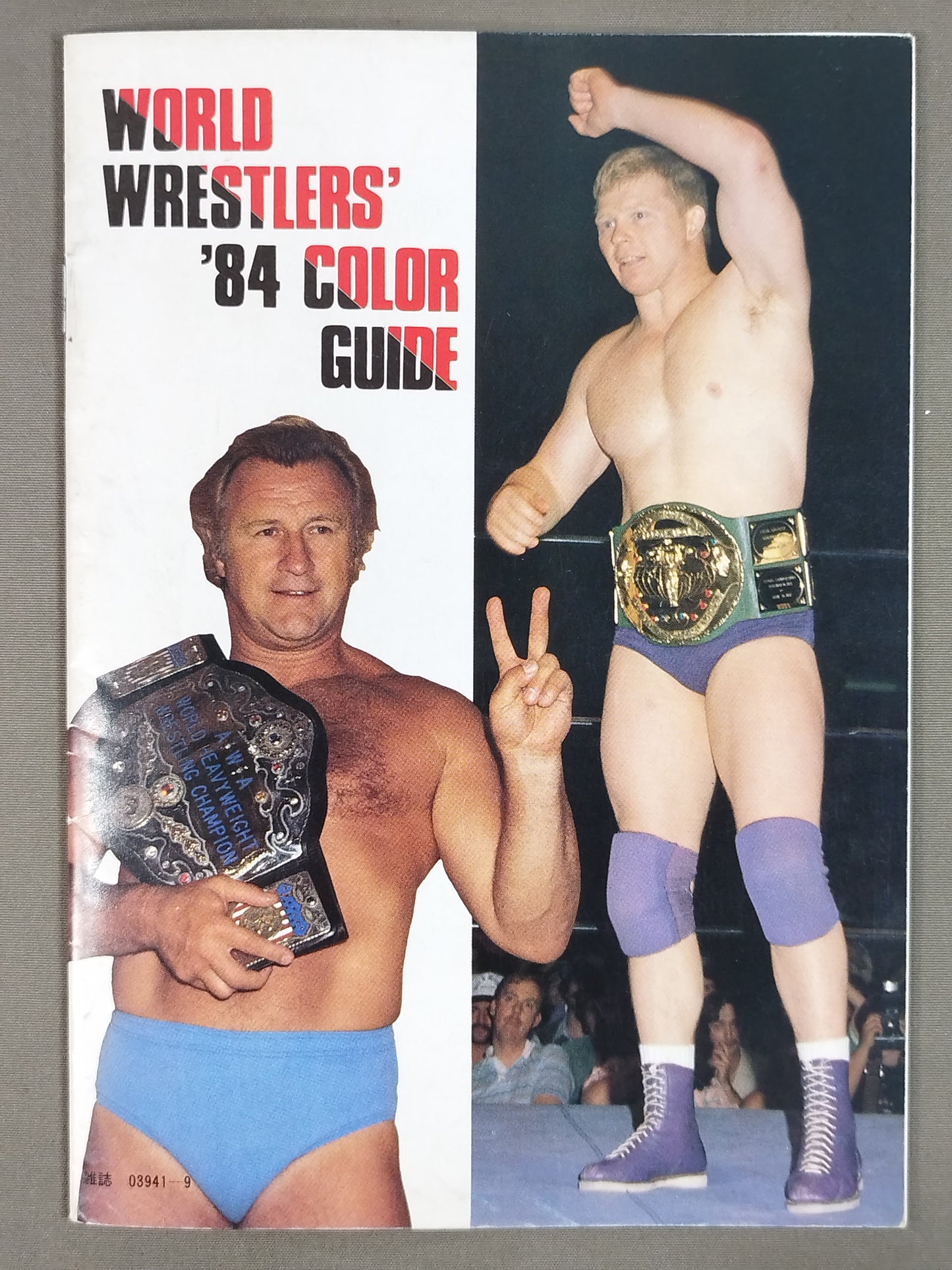 WORLD WRESTLERS ’84 COLOR GUIDE