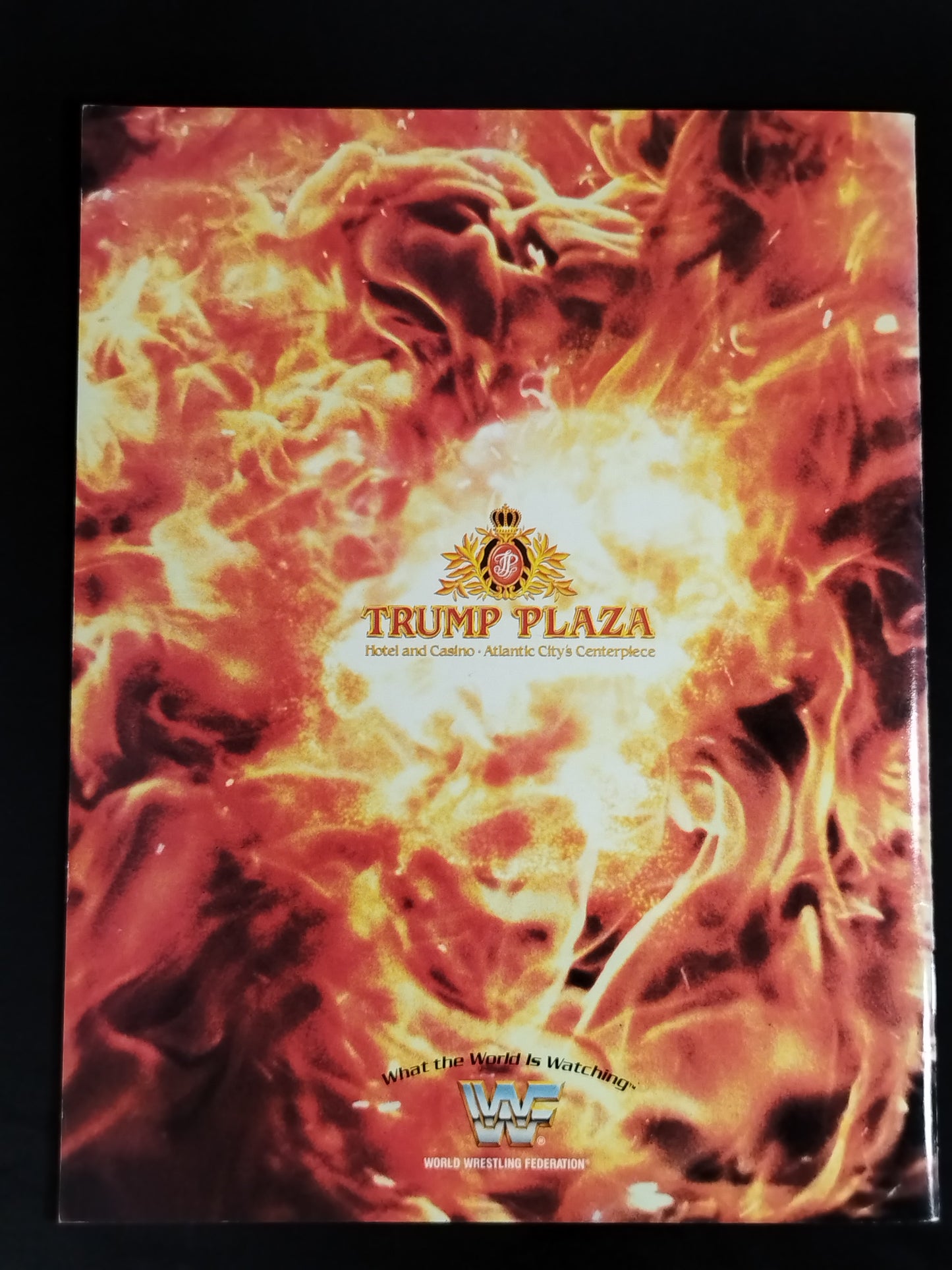 WRESTLEMANIA Ⅴ / レッスルマニア5