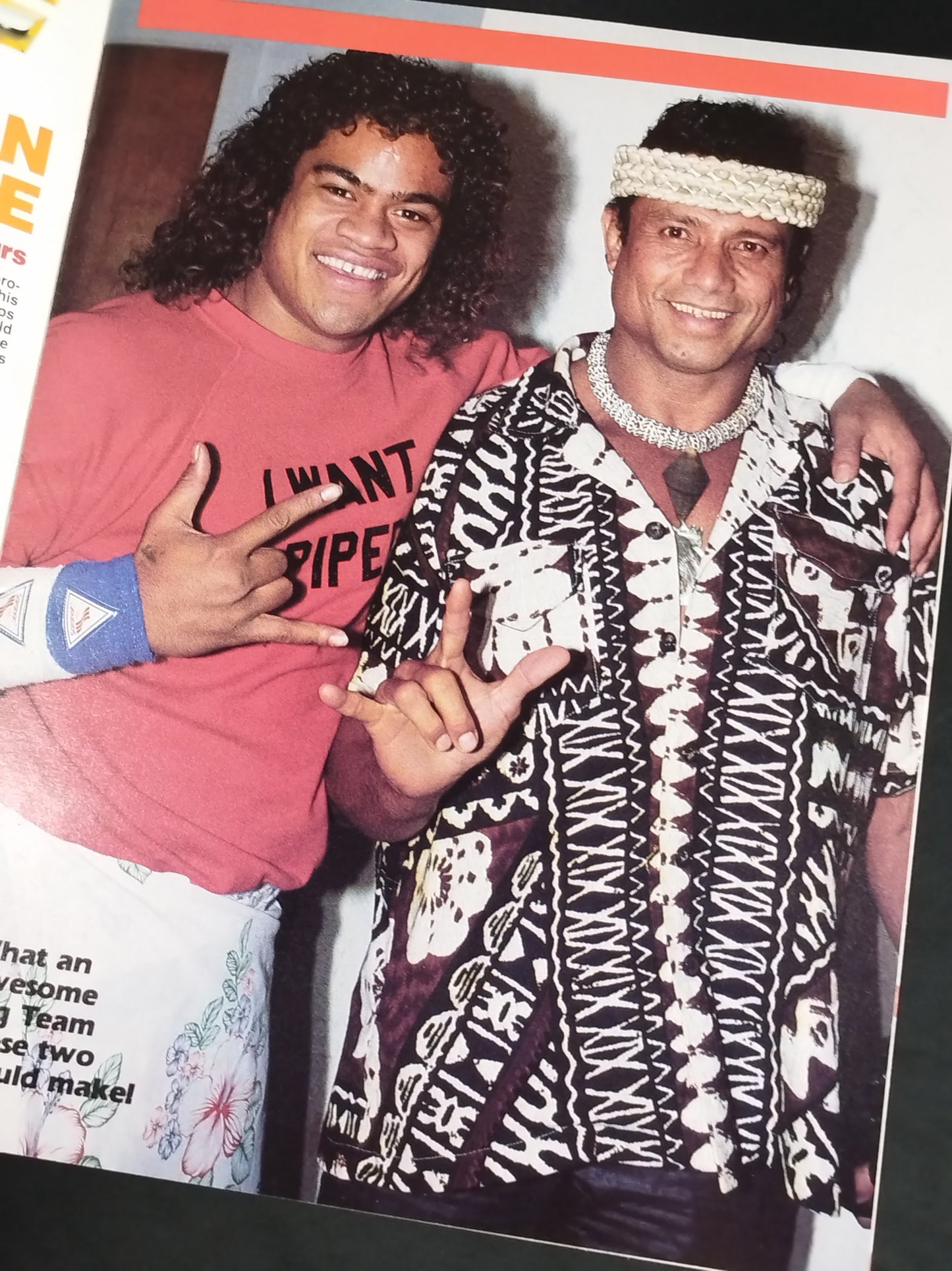 WWF OFFICIAL PROGRAM No.119