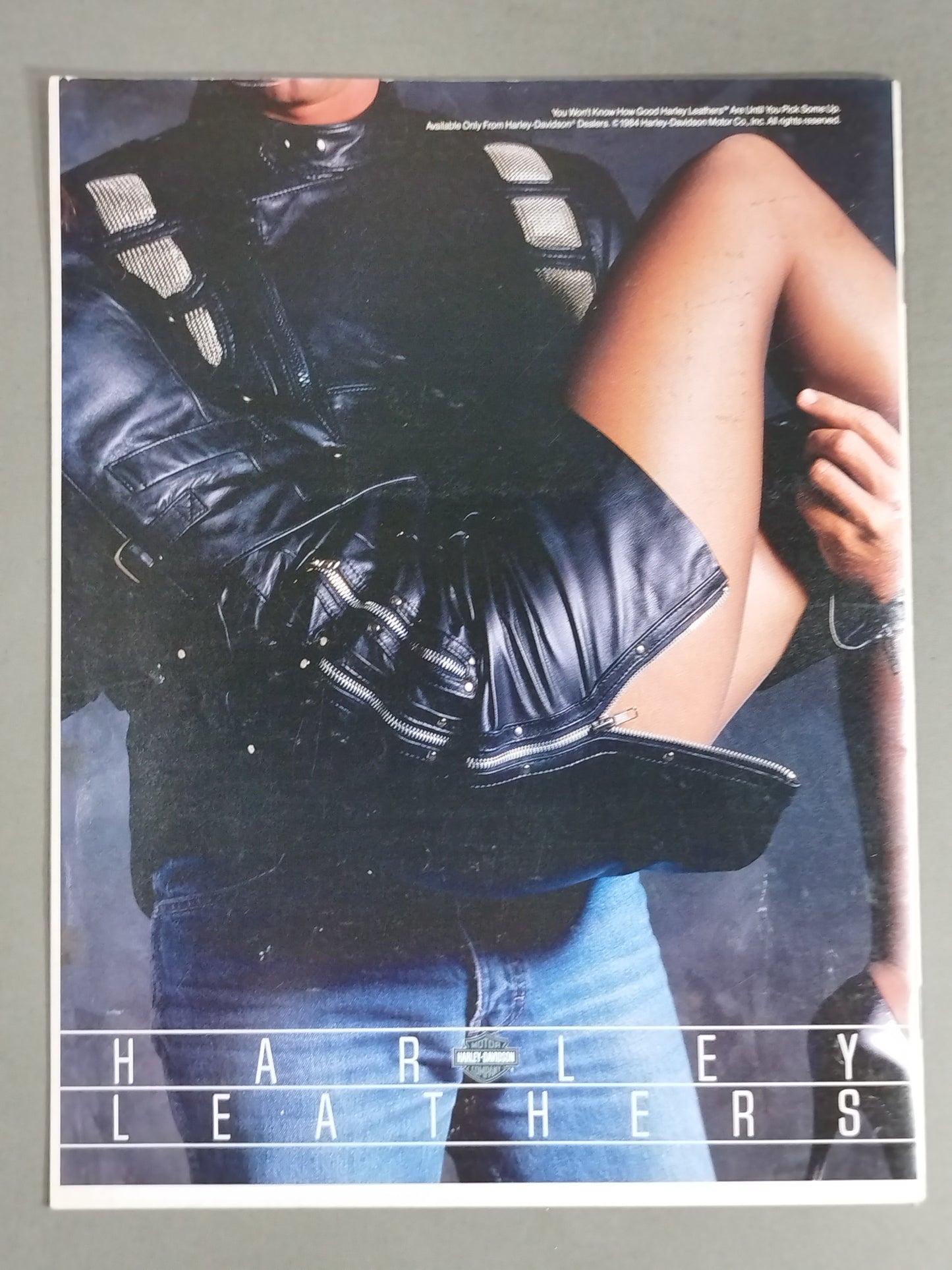 WWF OFFICIAL PROGRAM No.119