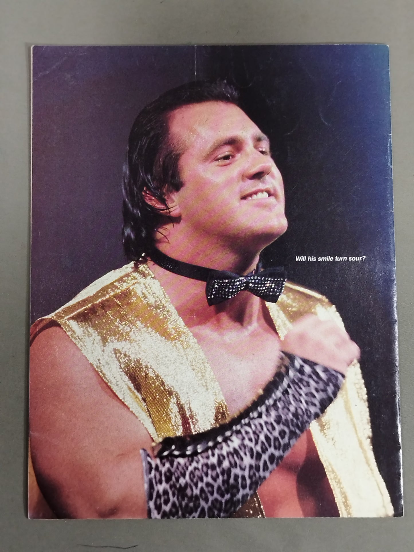 ★ Hogan vs. Murako Throne Fight ★WWF OFFICIAL PROGRAM No.124