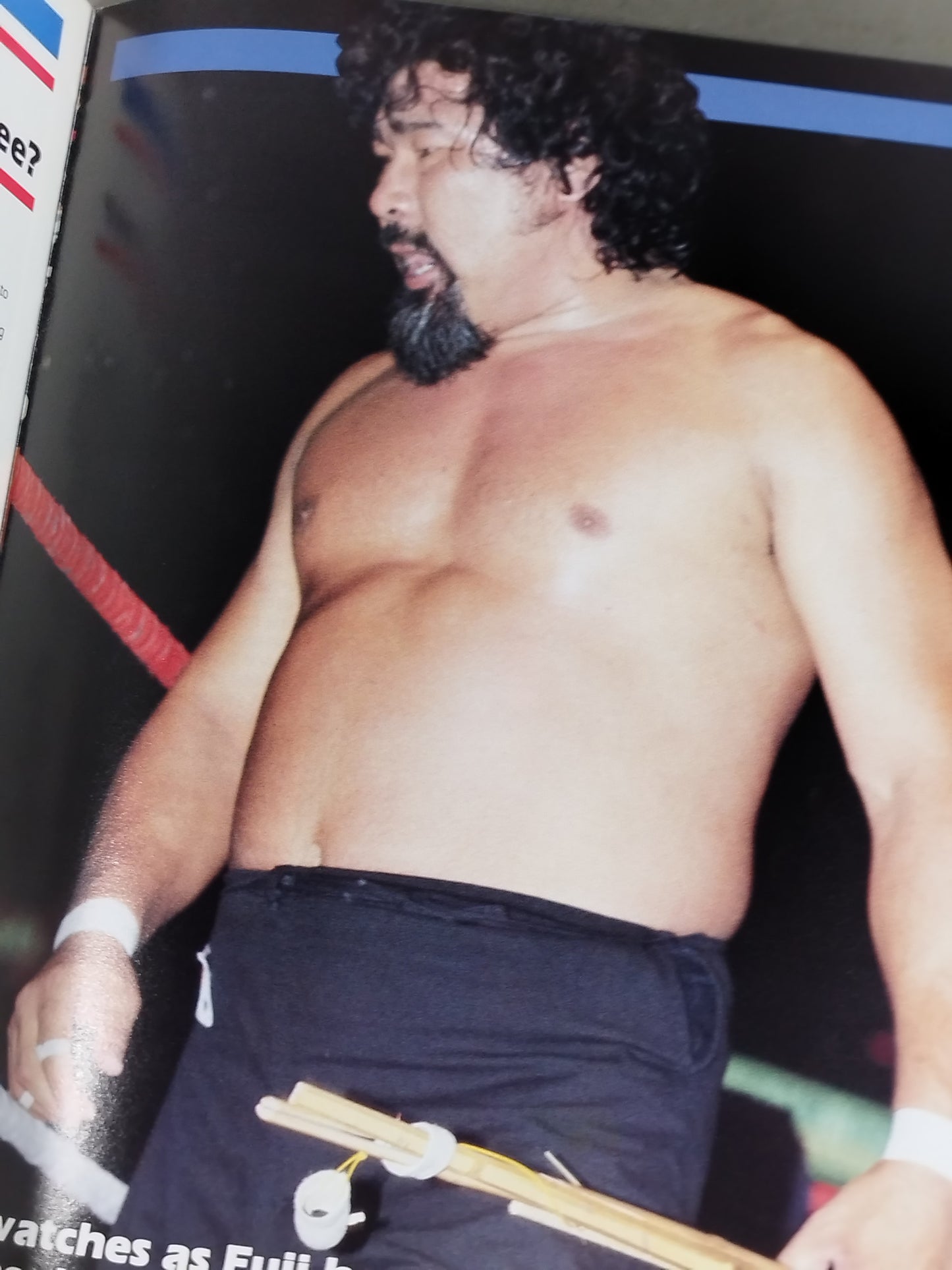 WWF OFFICIAL PROGRAM No.116