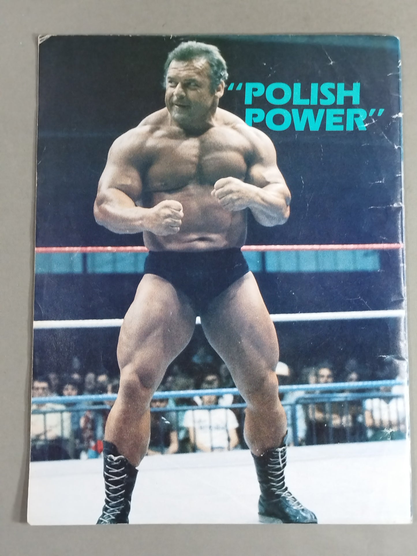 WWF OFFICIAL PROGRAM No.103