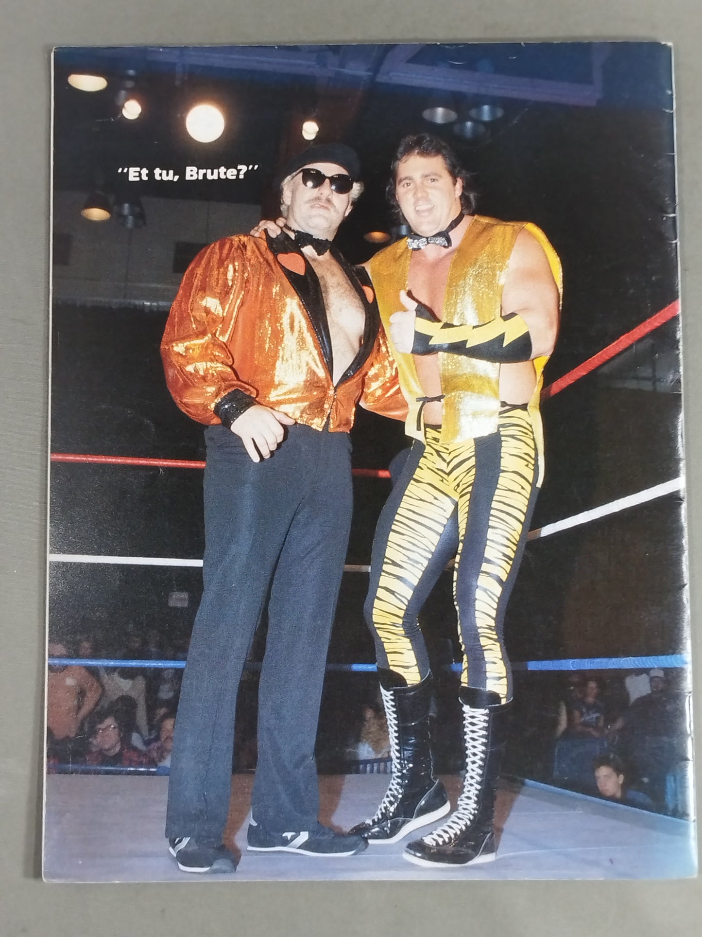 WWF OFFICIAL PROGRAM No.120