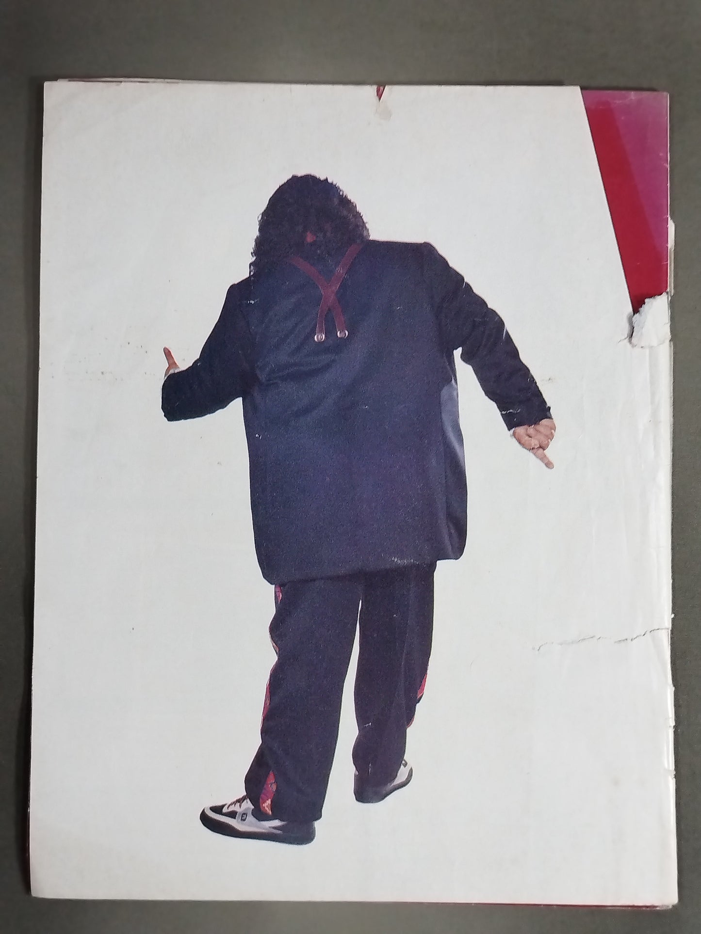 WWF OFFICIAL PROGRAM No.121