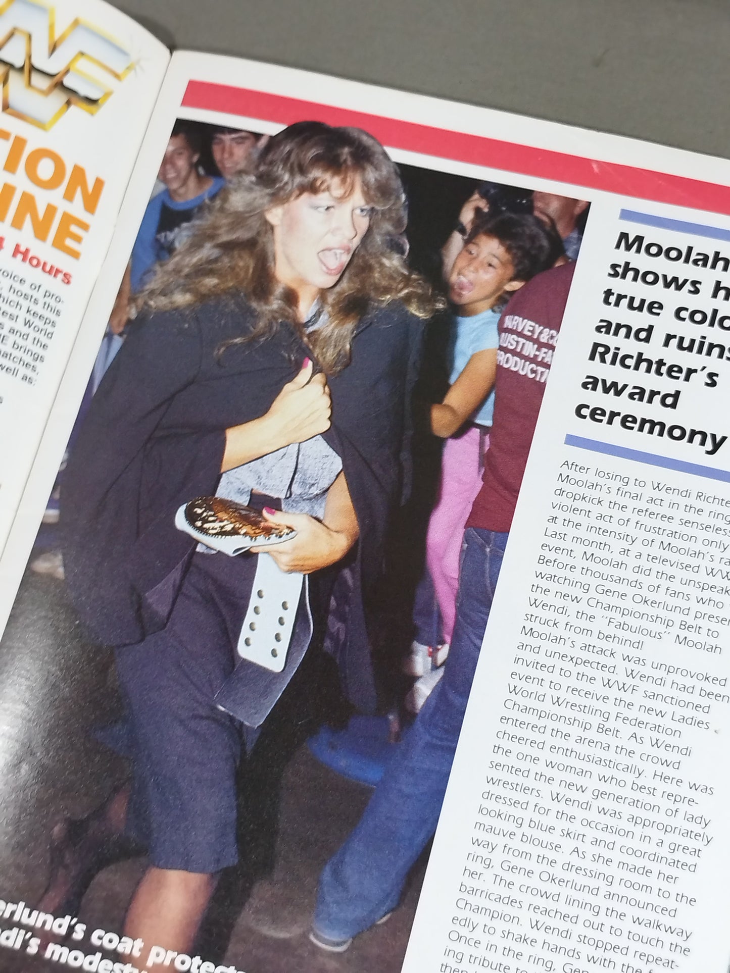 WWF OFFICIAL PROGRAM No.117