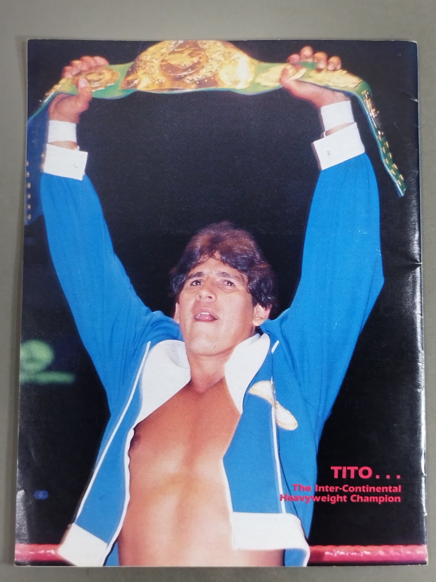 WWF OFFICIAL PROGRAM No.117