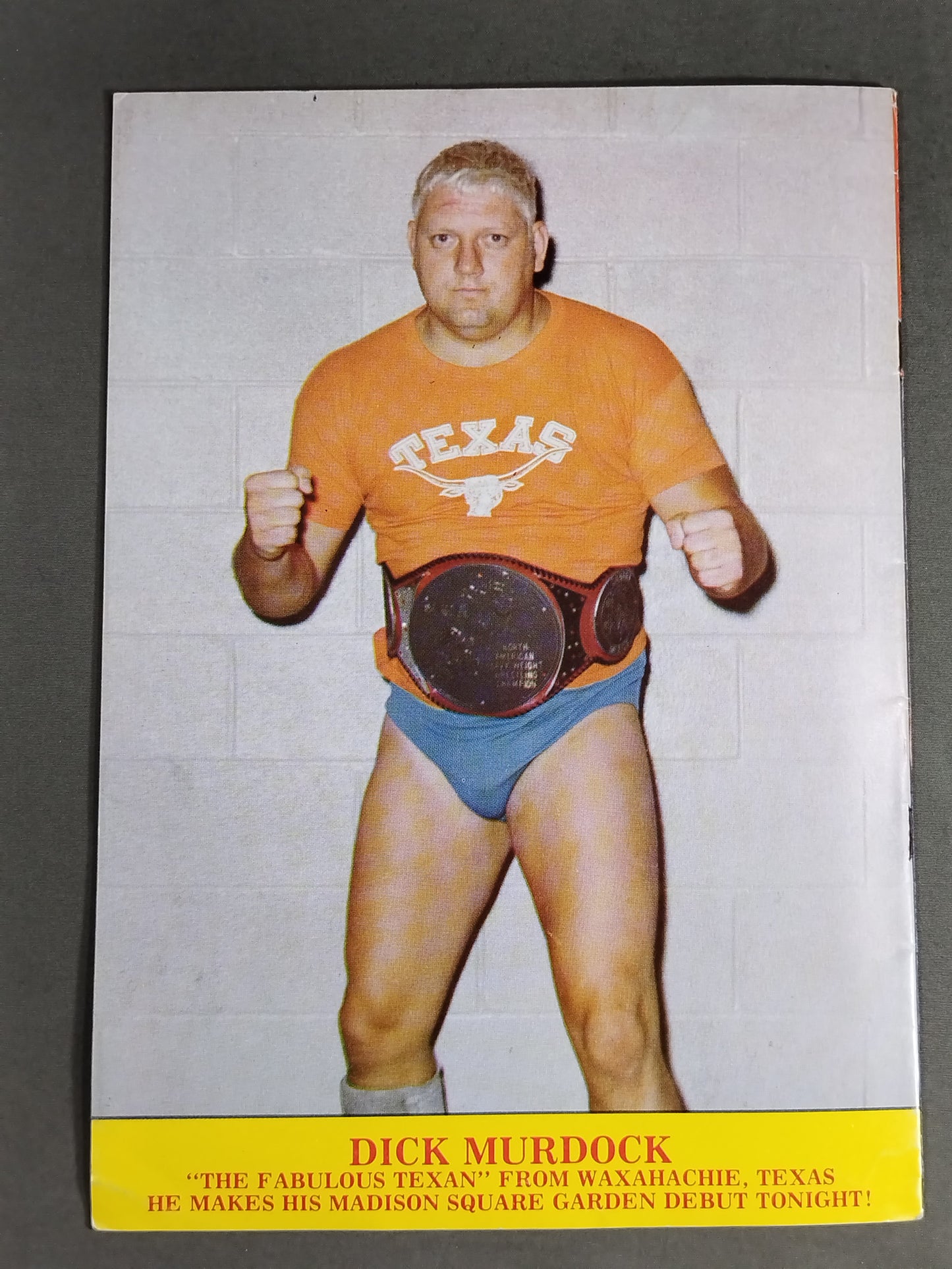 ★バックランドvsバレンタイン 王座戦★ W.W.F. CHAMPIONSHIP WRESTLING OFFICIAL PROGRAM MAGAZINE No.19