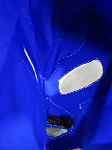 Blue Demon