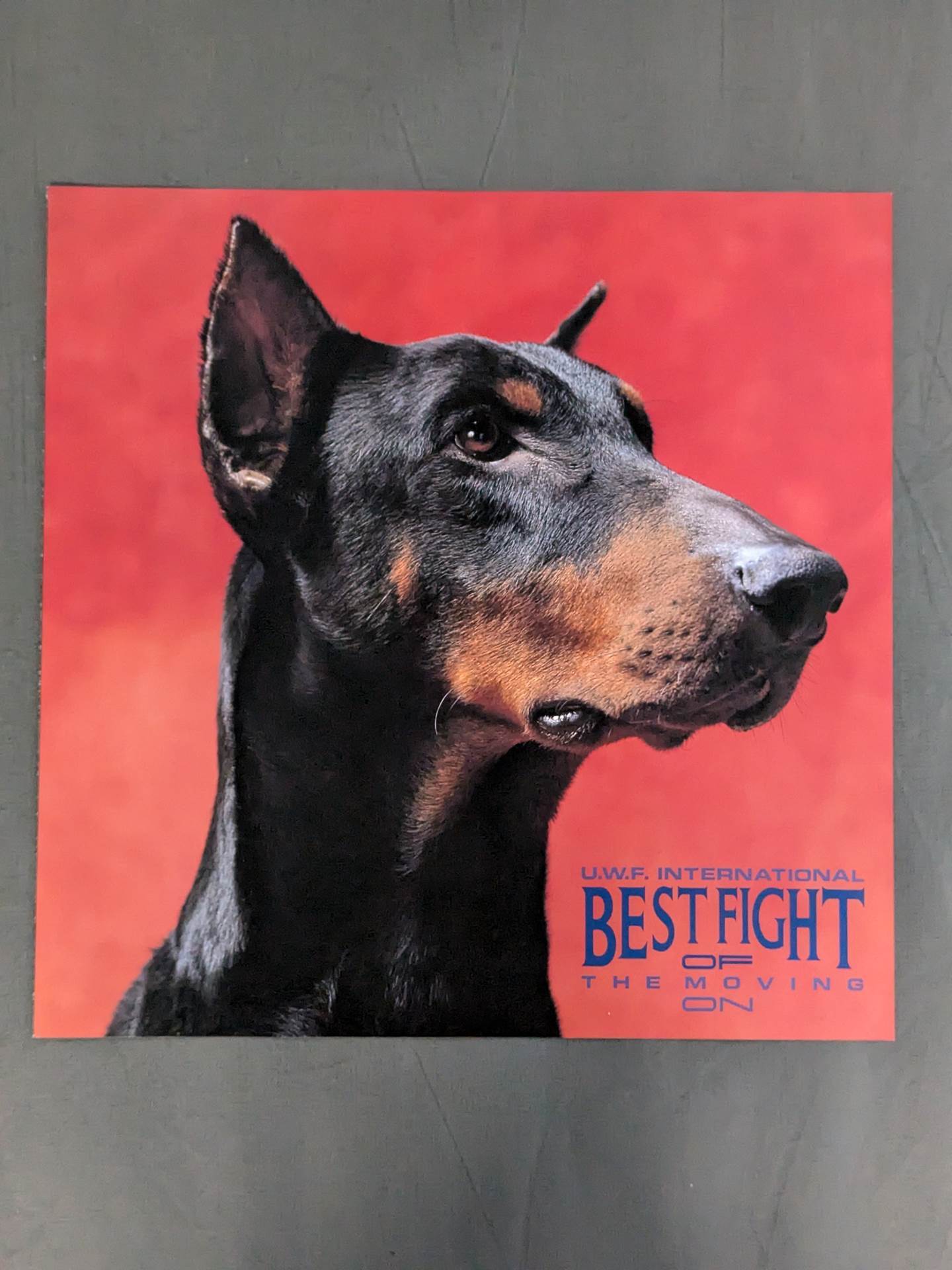 U.W.F.インターナショナル BEST FIGHT OF THE MOVING ON