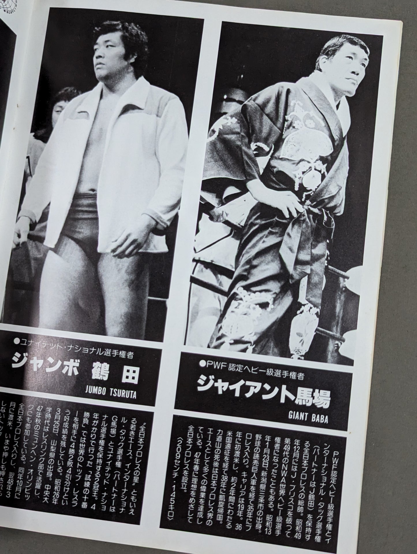 ★プロレス夢のオールスター戦★ 東京スポーツ新聞社創立20周年記念