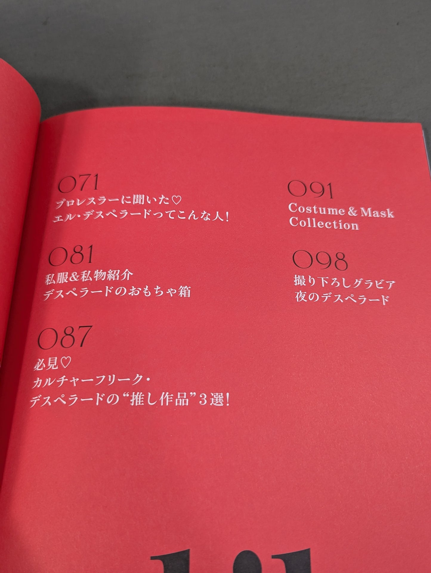 El Desperado Stylebook Despelibro