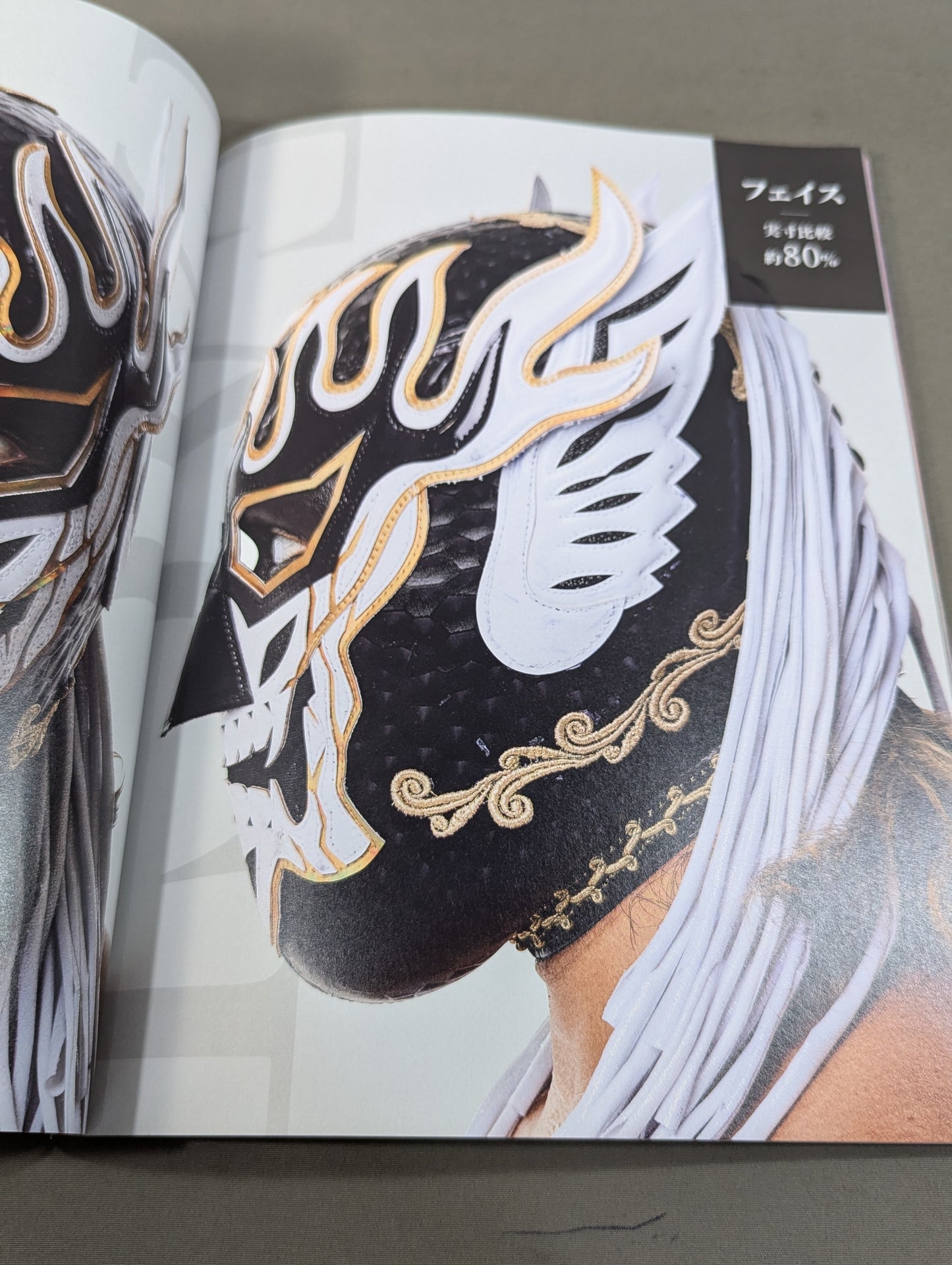 El Desperado Stylebook Despelibro