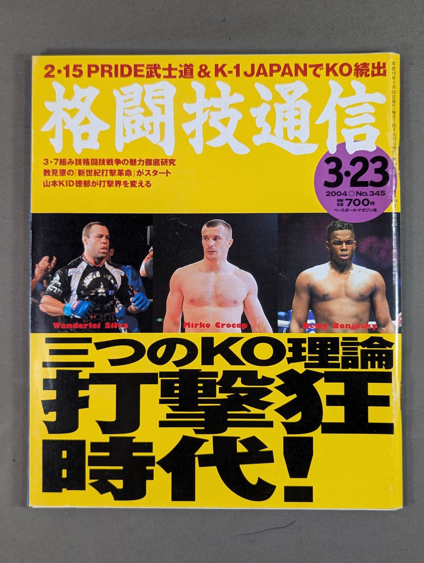 Martial Arts Communication 345