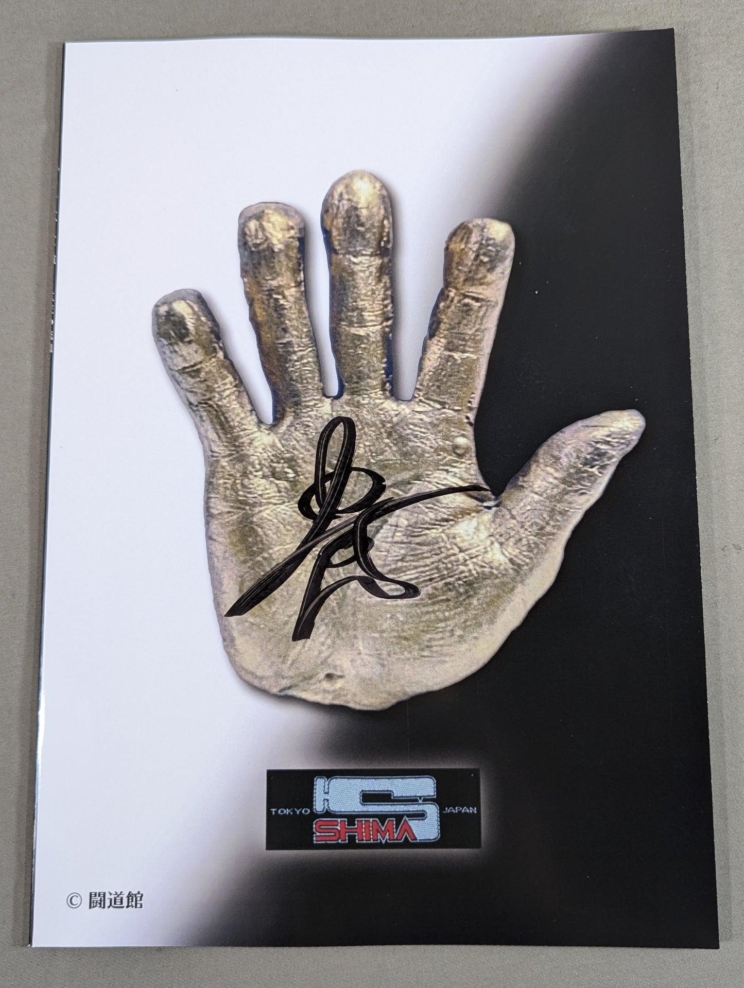 ★ Yuji Toyoshima hand signed autograph ★ Pro Wrestling Mask Road Master's Style