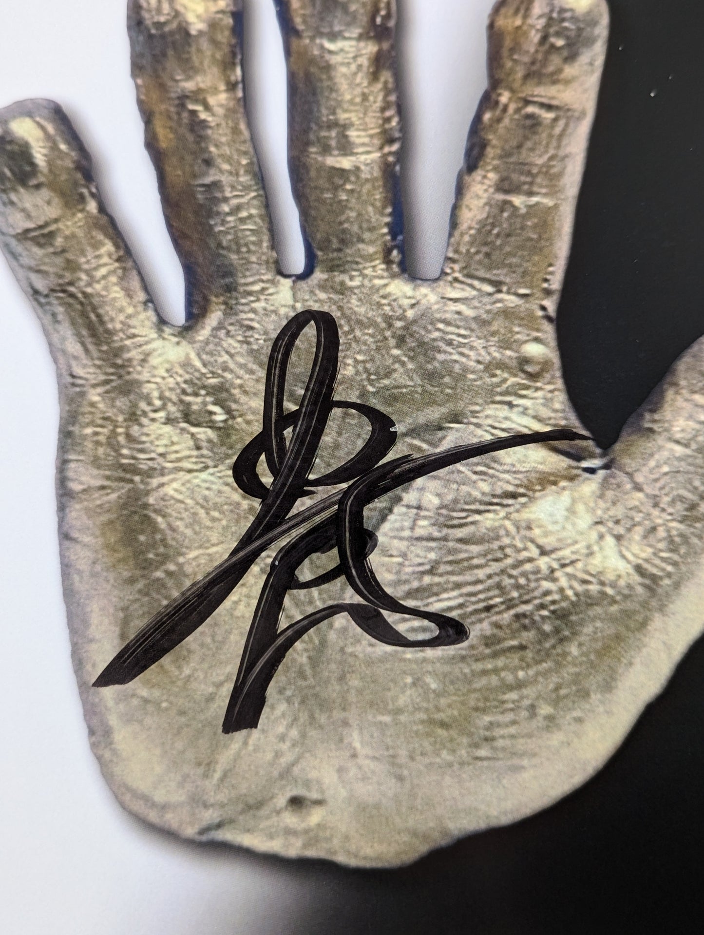 ★ Yuji Toyoshima hand signed autograph ★ Pro Wrestling Mask Road Master's Style