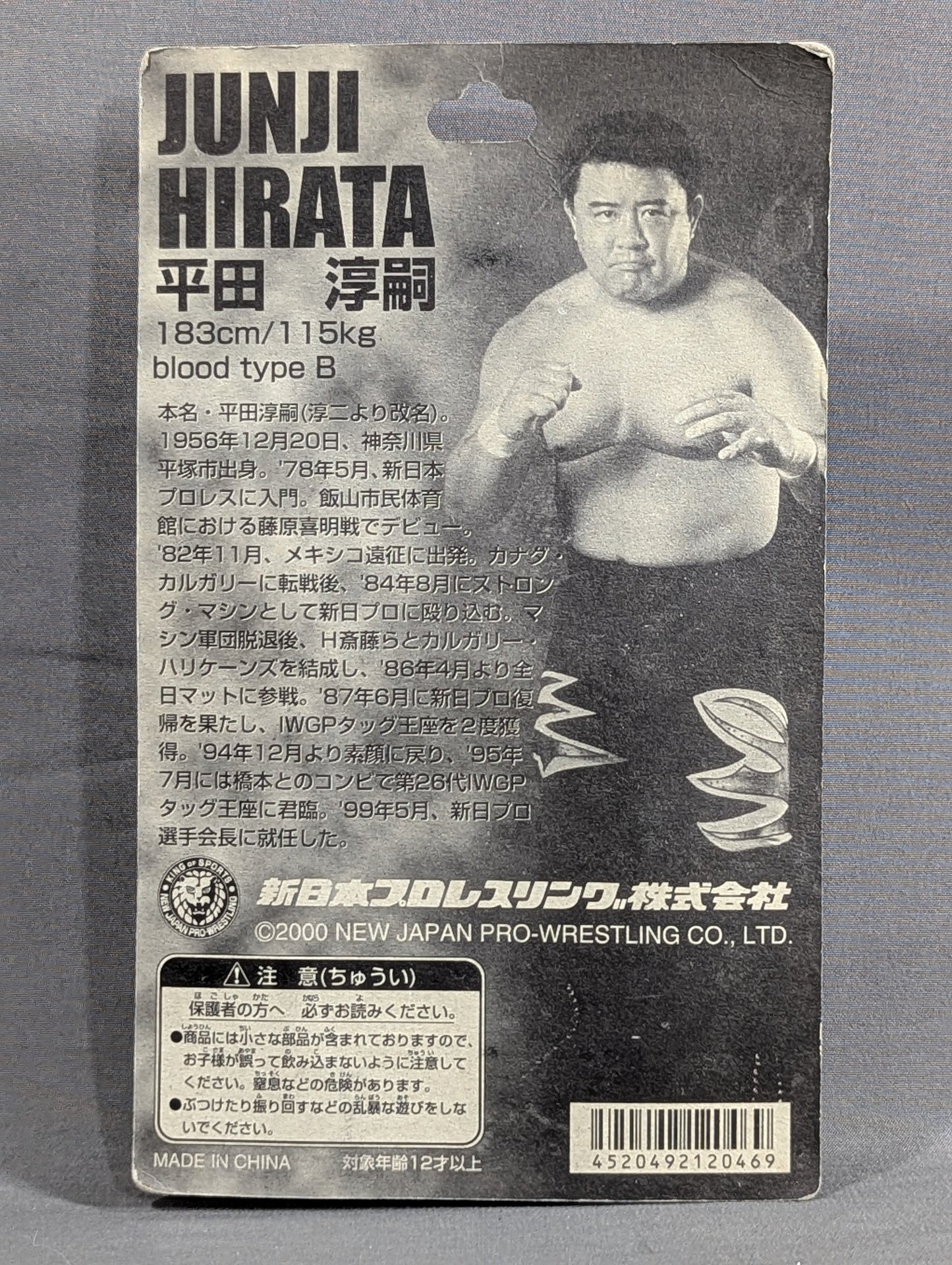 平田淳嗣(マシンマスク付)