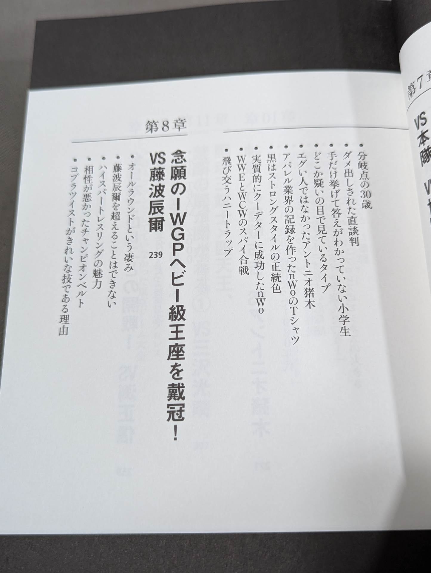 蝶野正洋『プロレス名勝負とあの事件の裏の裏』