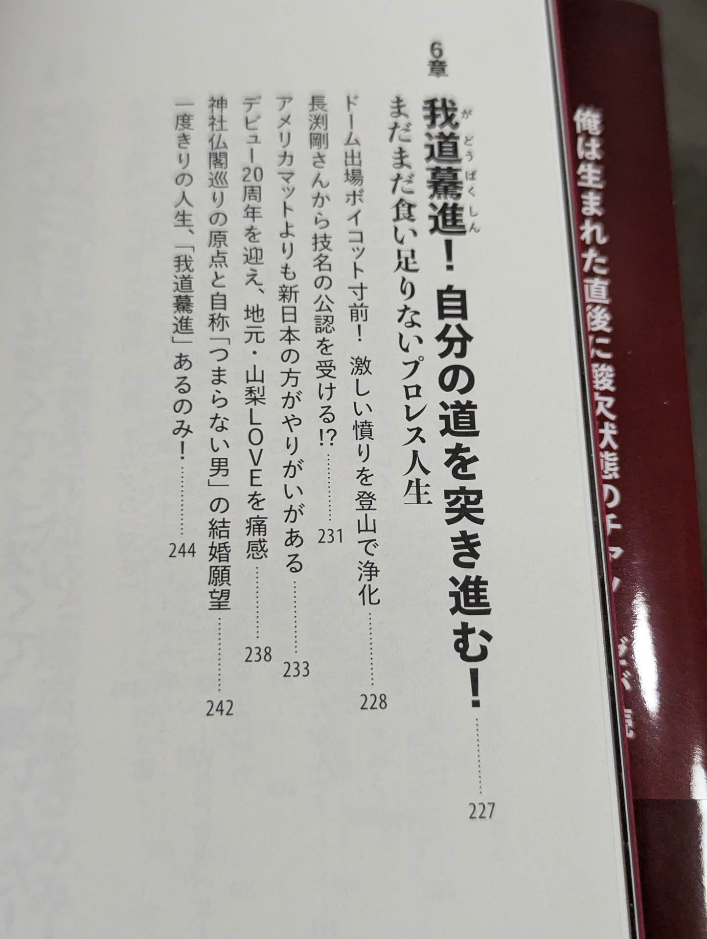 鷹木信悟自伝 我道驀進(がどうばくしん)