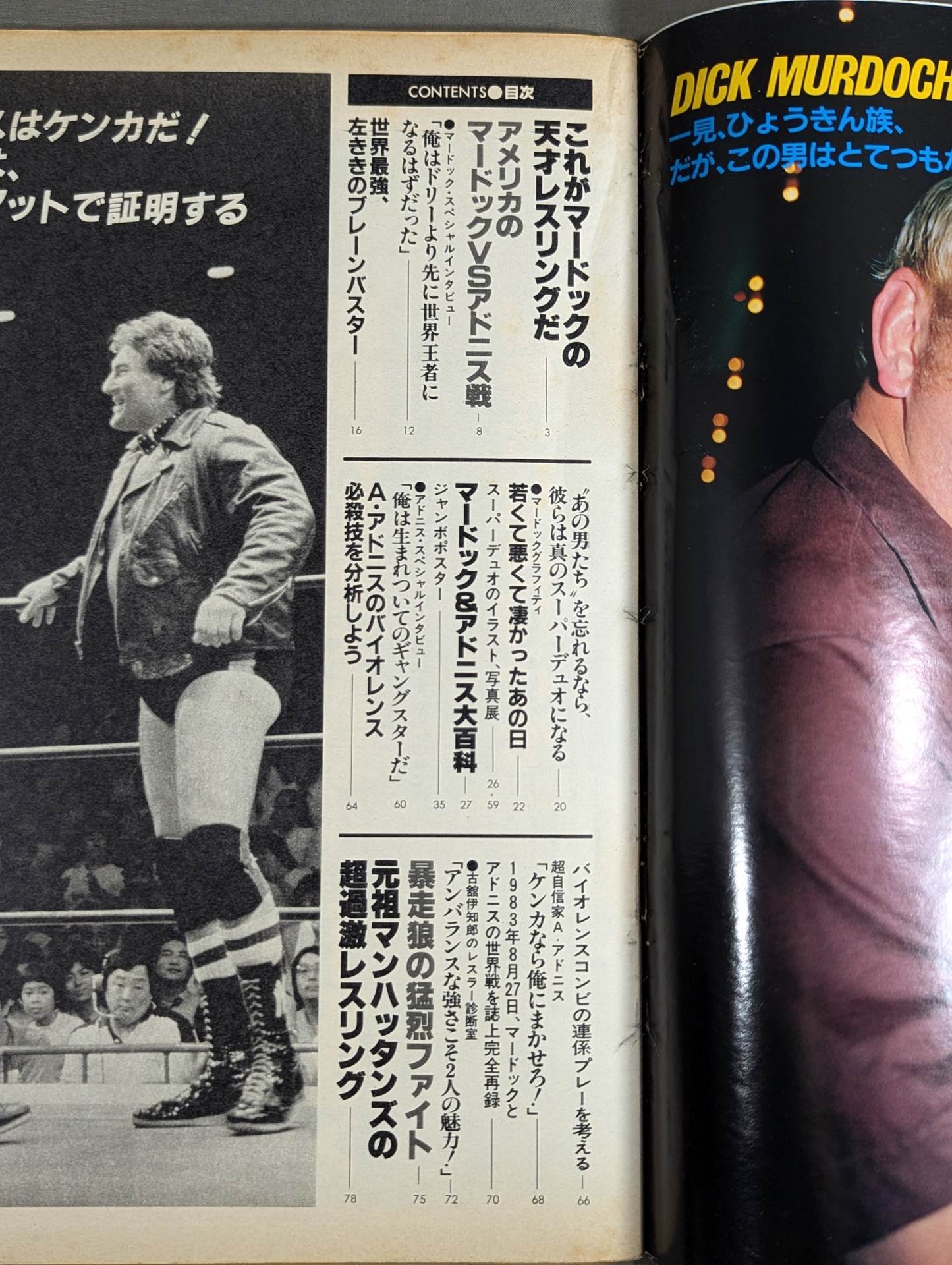 プロレスアルバム44 ディック・マードック&アドリアン・アドニス