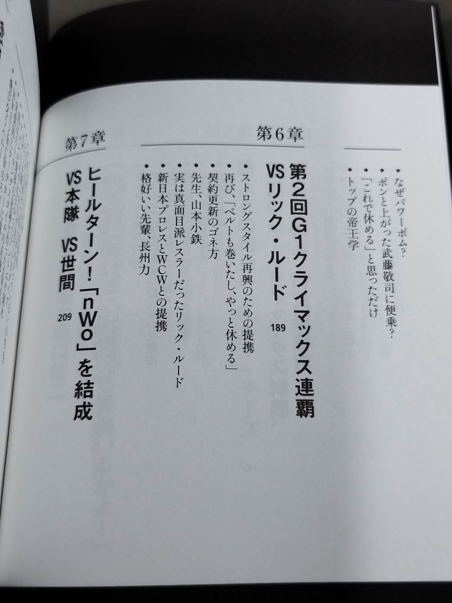 蝶野正洋『プロレス名勝負とあの事件の裏の裏』