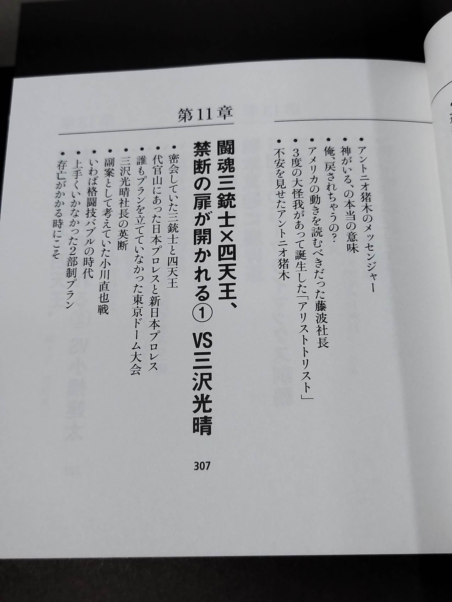 蝶野正洋『プロレス名勝負とあの事件の裏の裏』