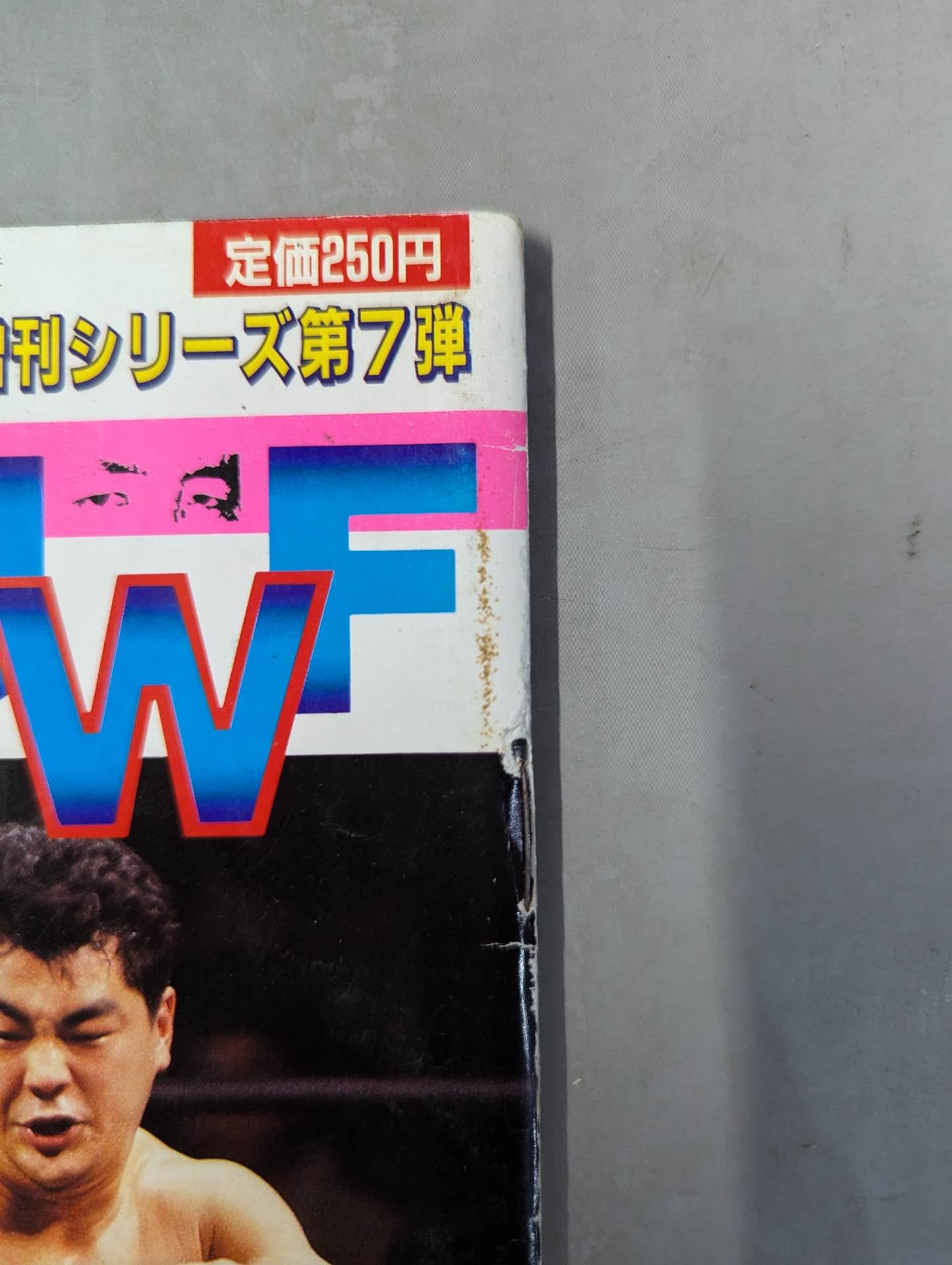 ゴング増刊号「格闘UWF」第7弾